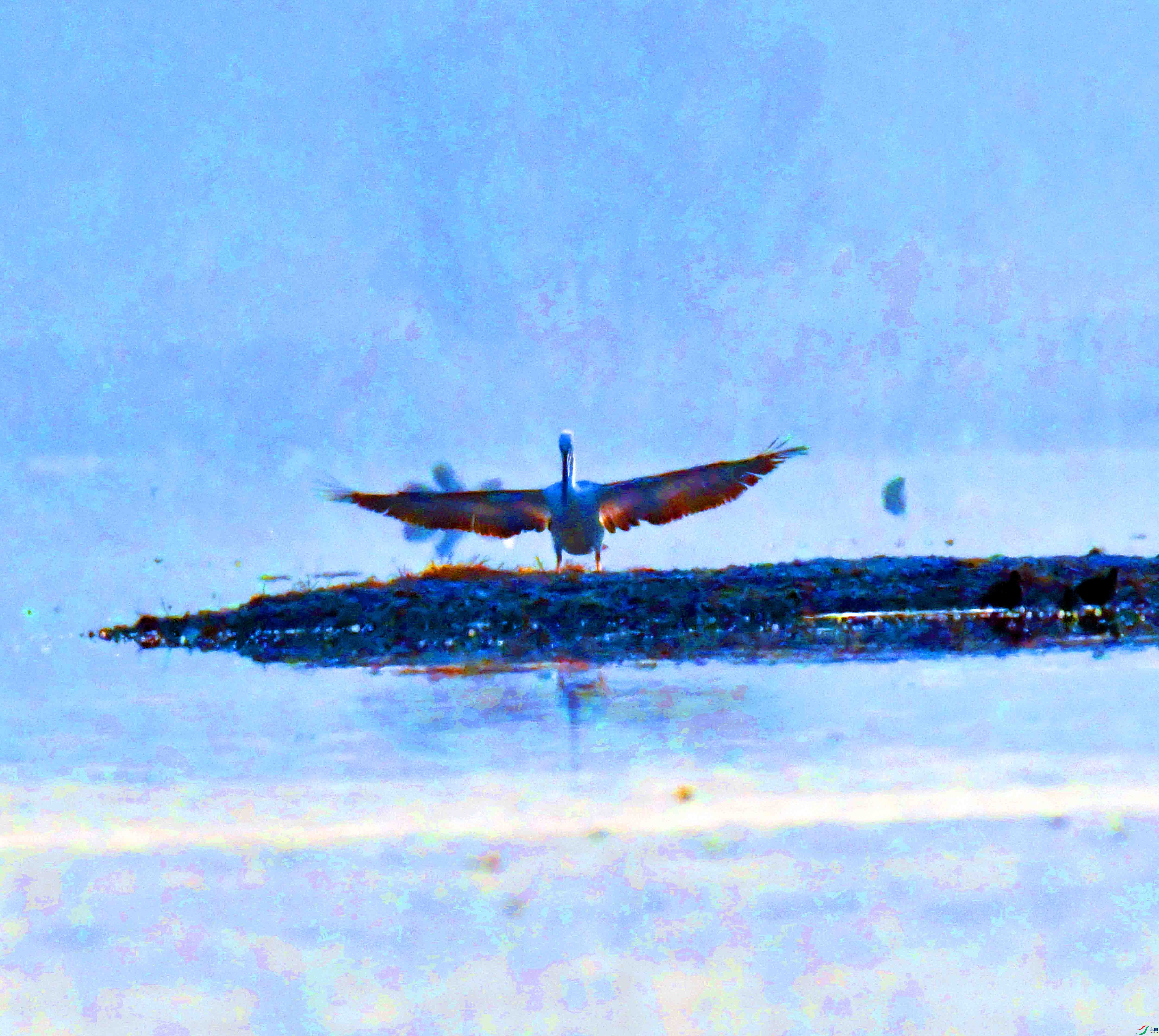 DSC_5819.JPG