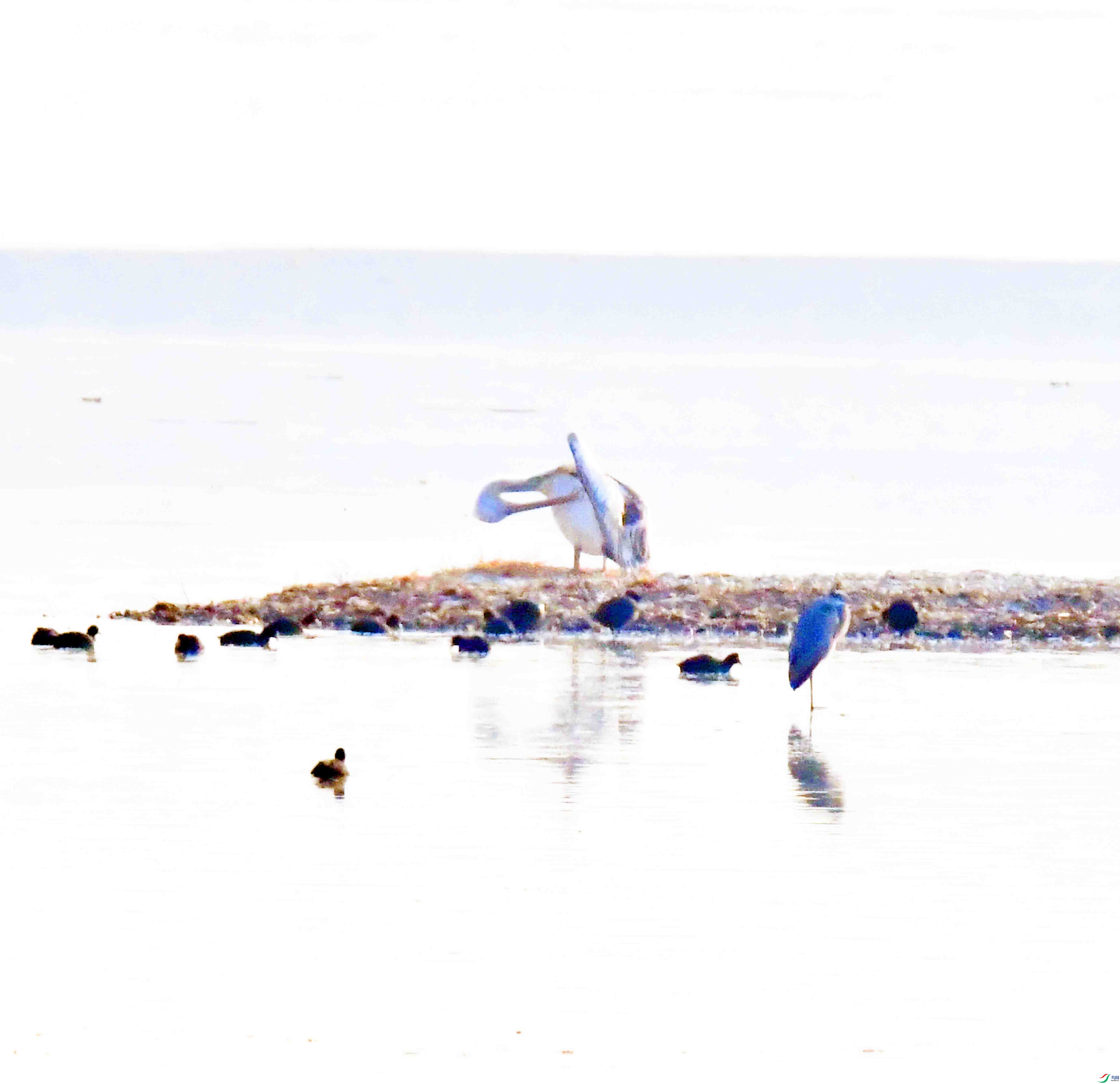 DSC_6249.JPG
