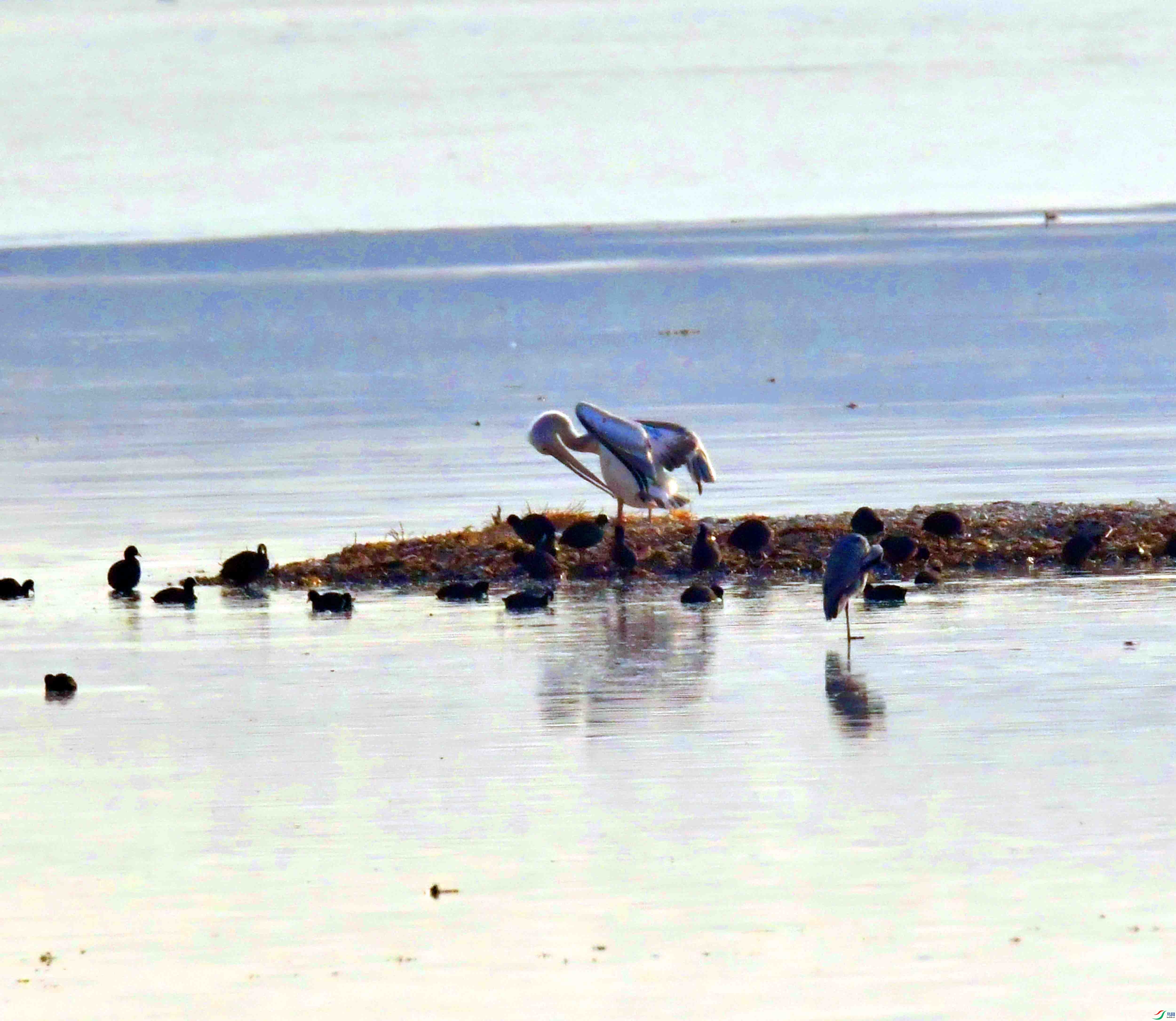 DSC_6361.JPG