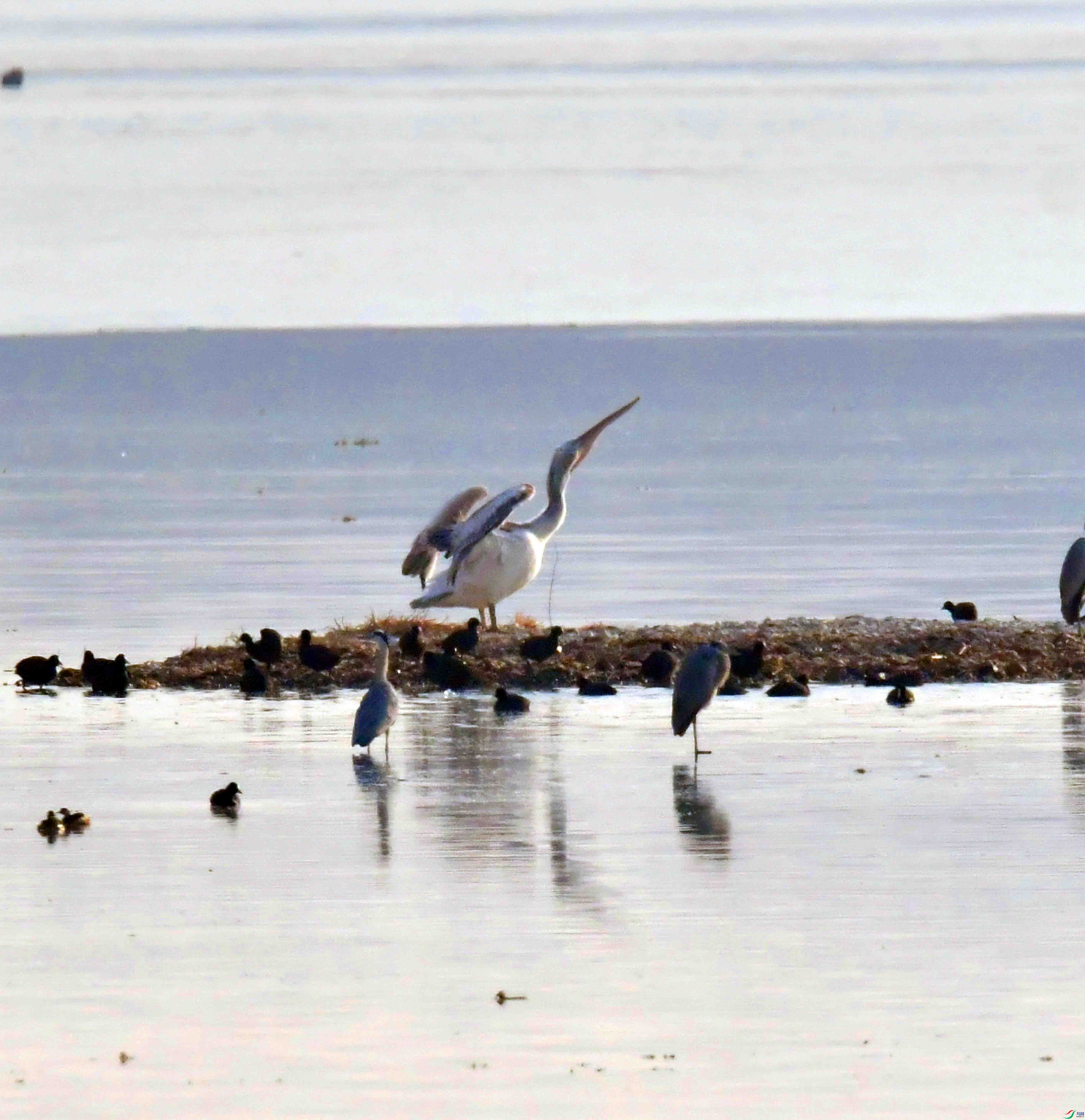 DSC_6401.JPG