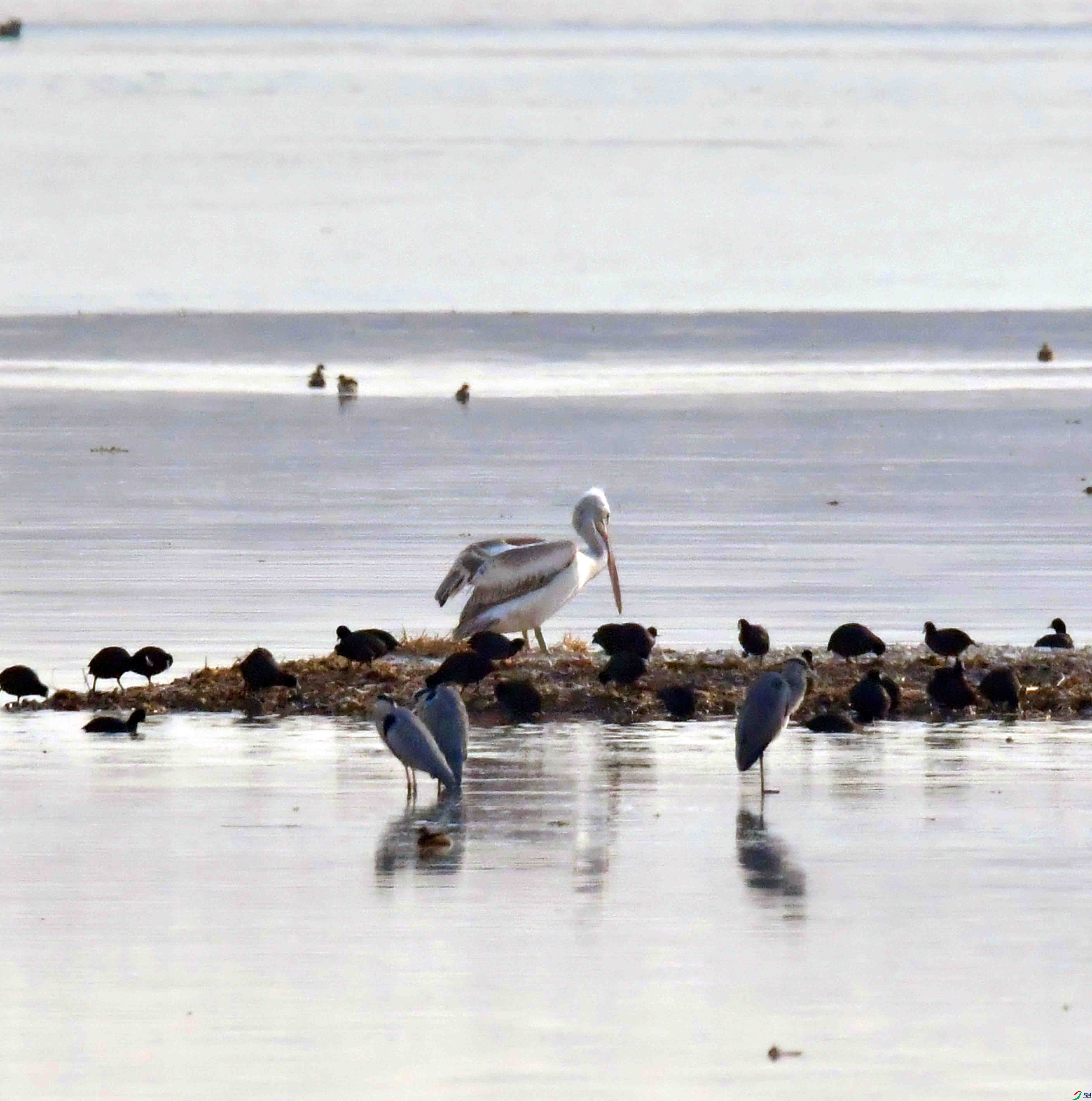 DSC_6422.JPG