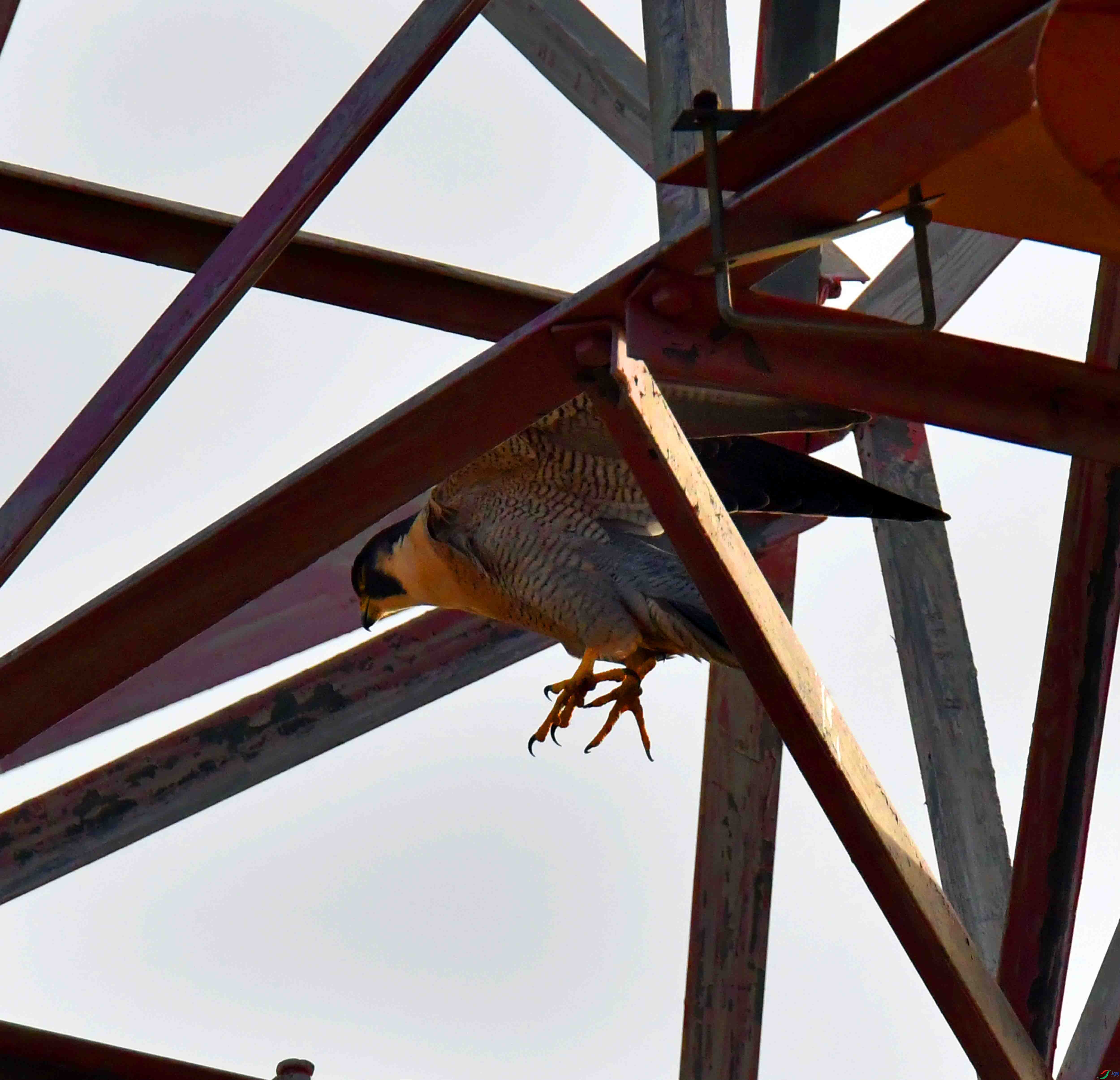 DSC_2760.JPG