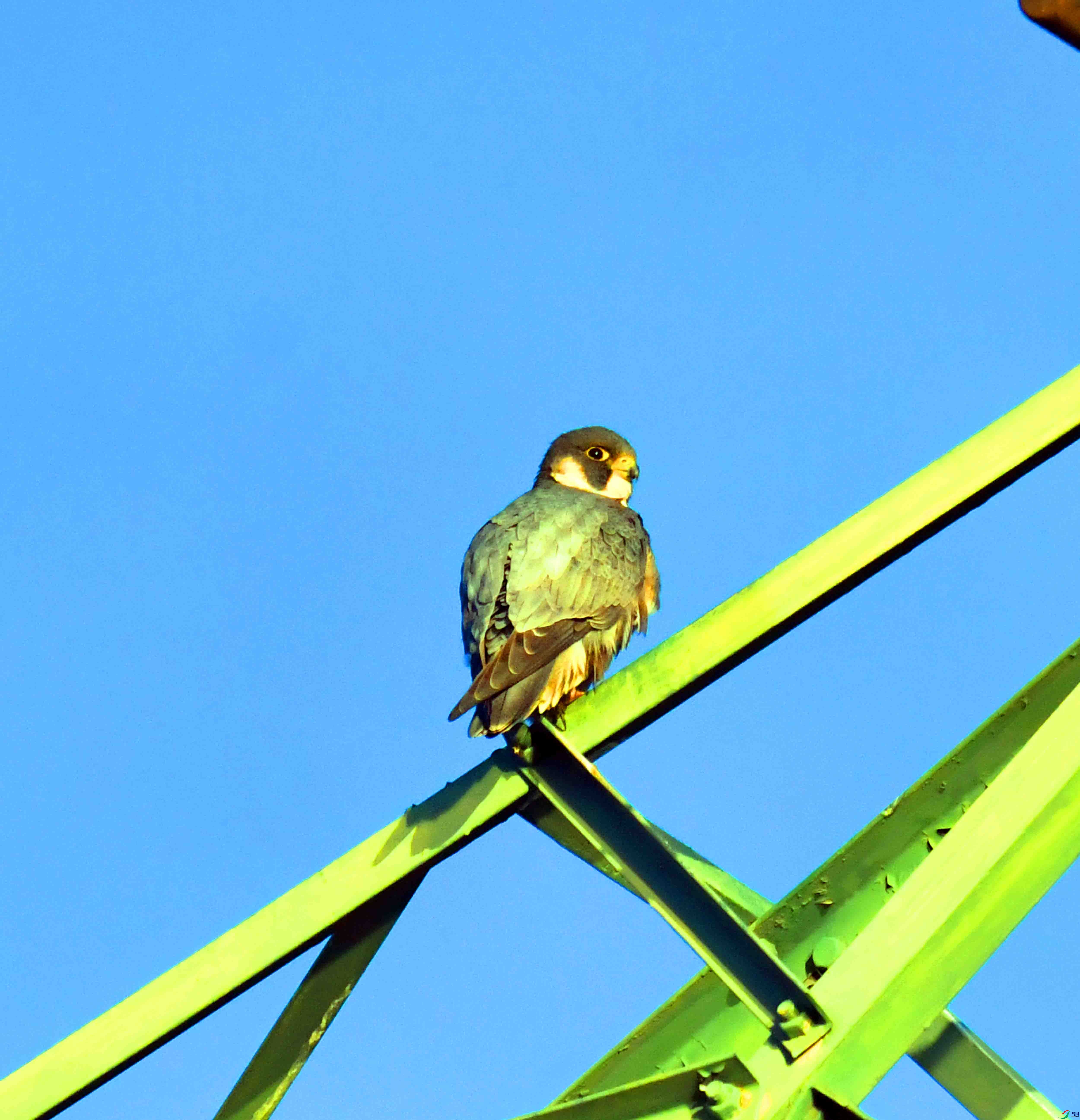 DSC_2888.JPG