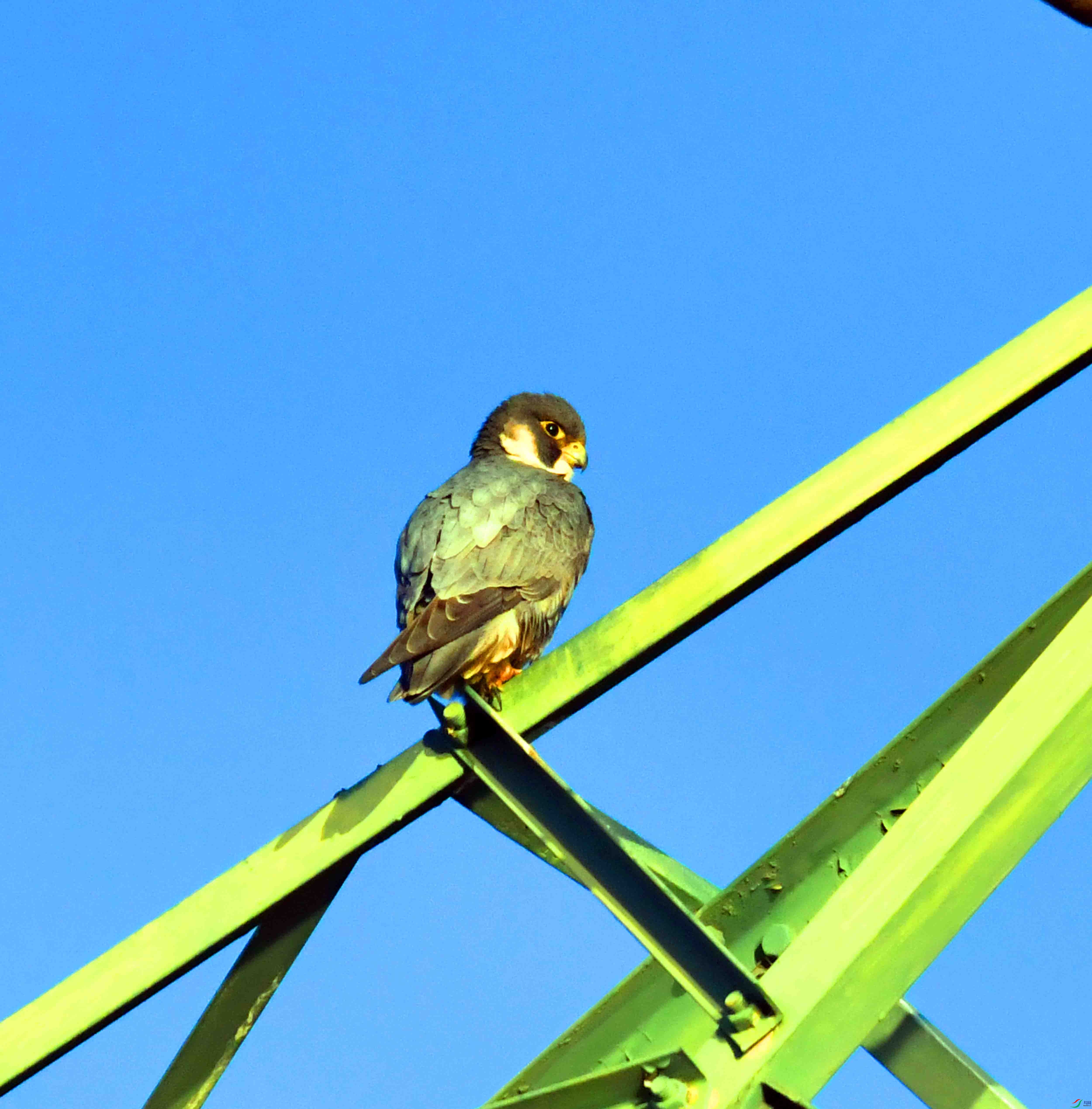 DSC_2899.JPG