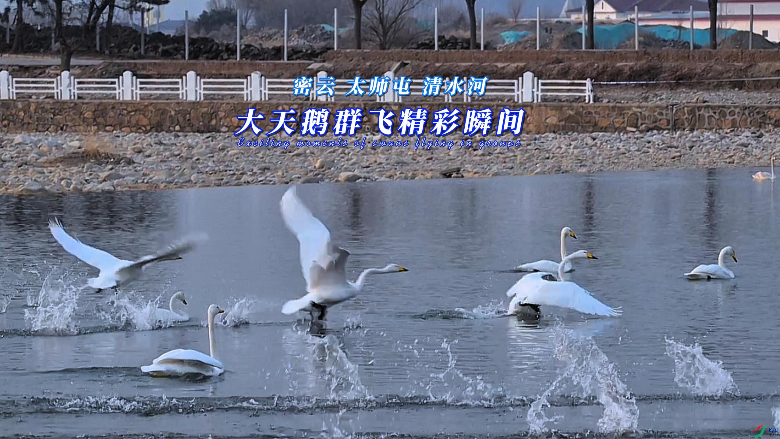 ���� ̫ʦ�� ��ˮ�� �����Ⱥ�ɾ���˲�� -����.jpg