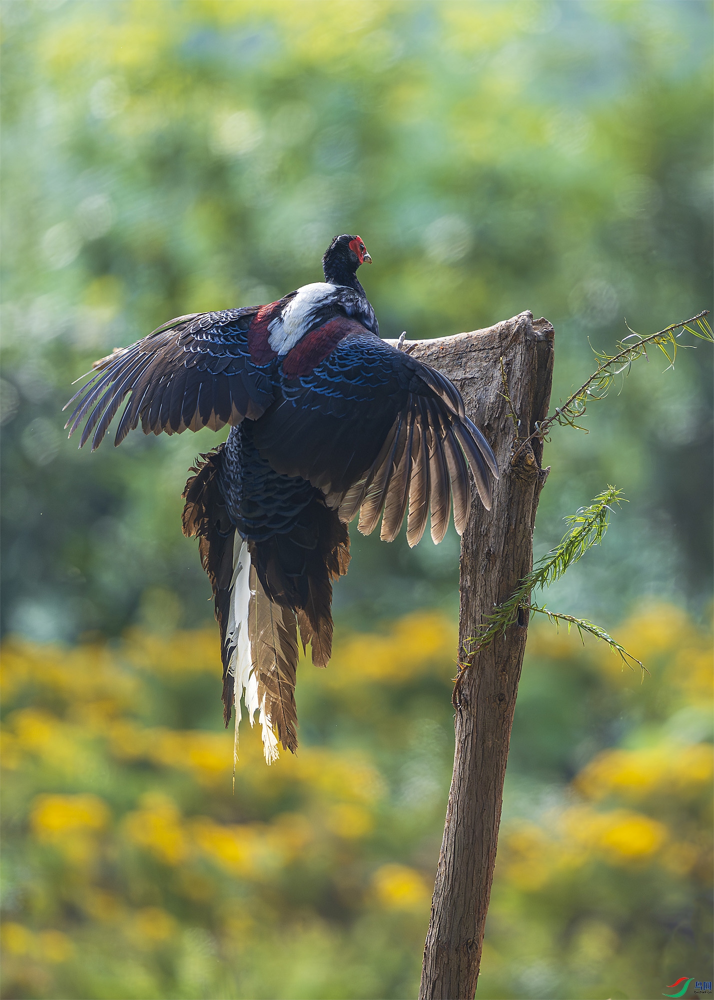 _DSC3202 ���� 2.jpg