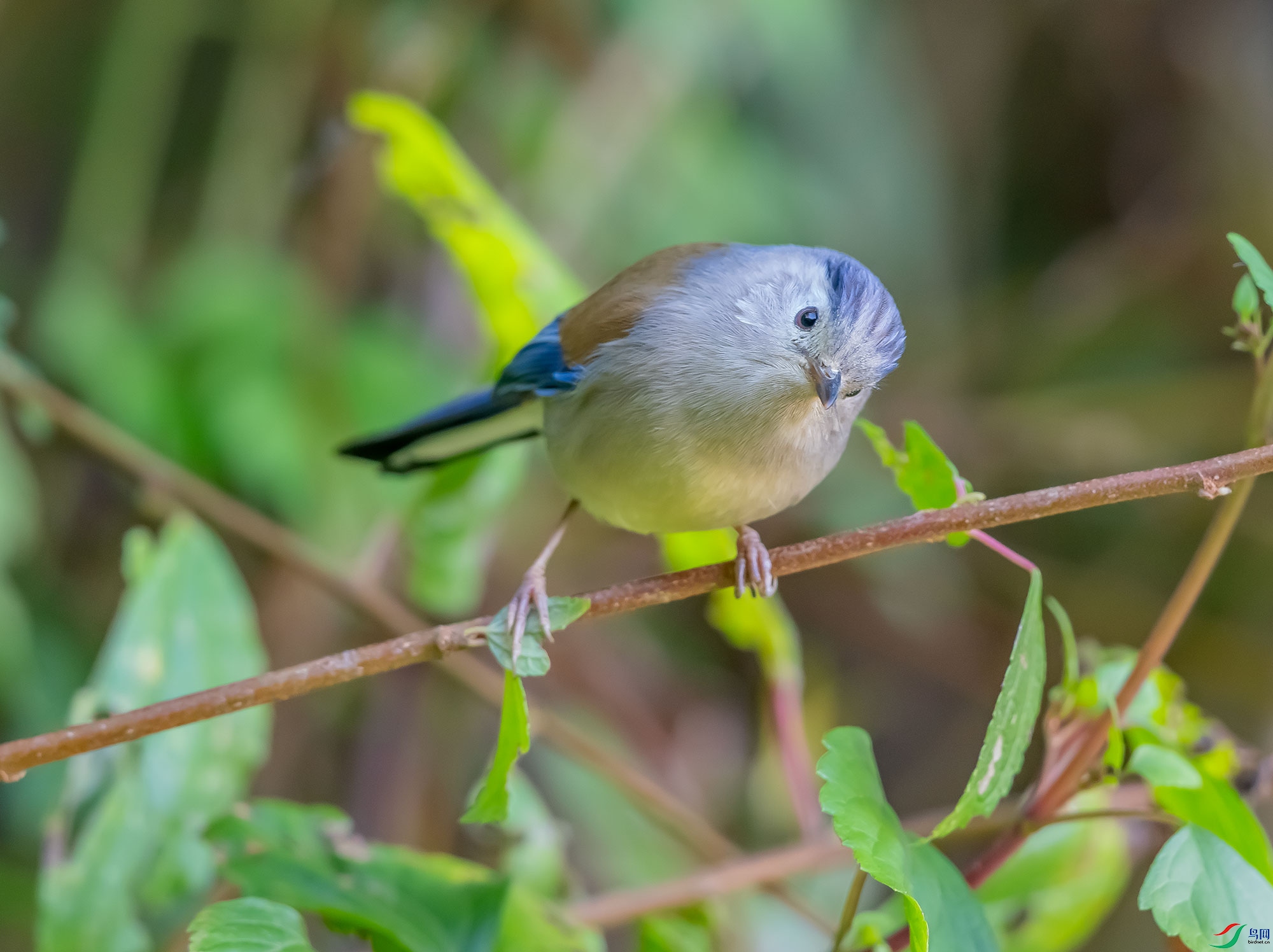 DSC_7898.jpg