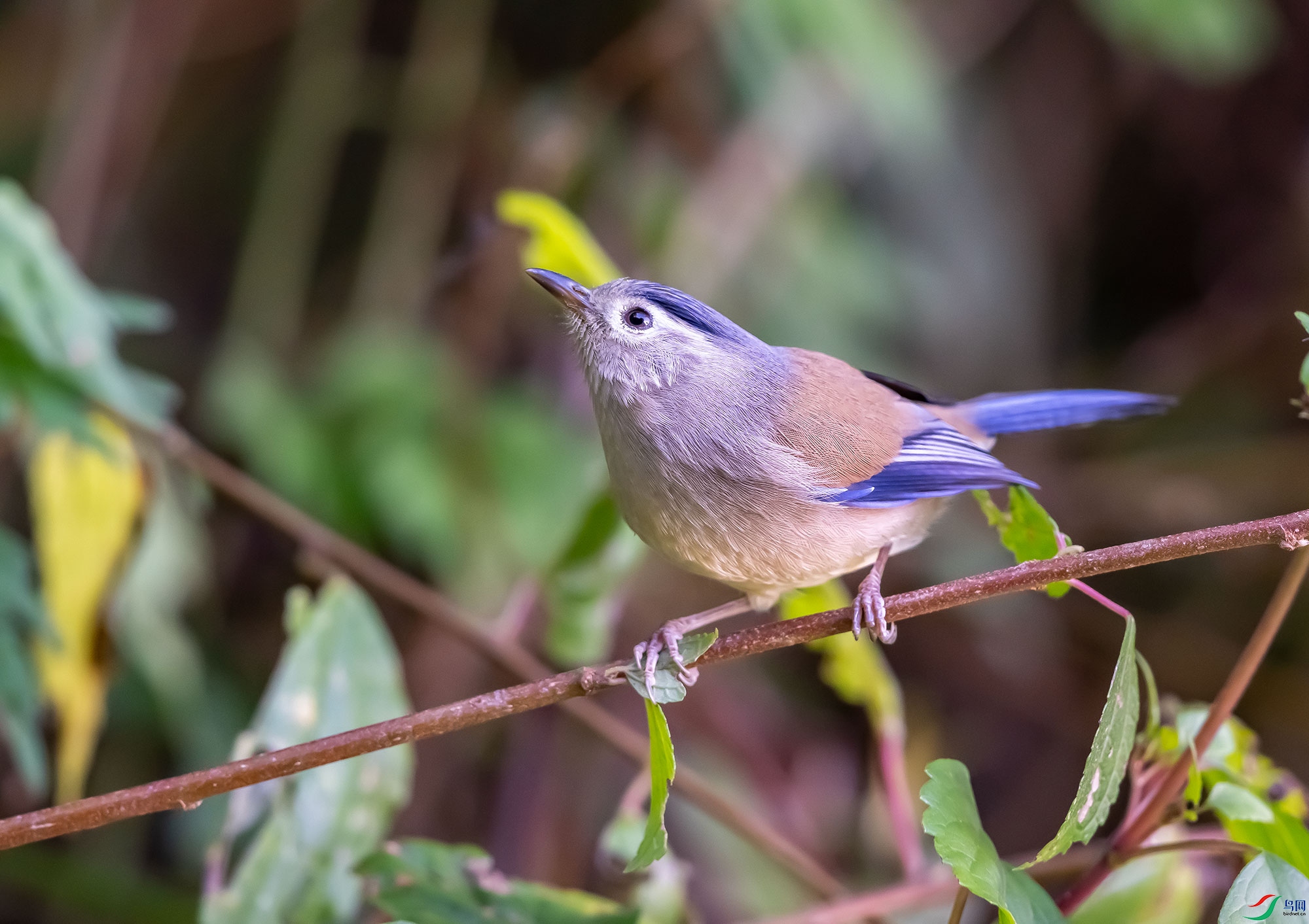 DSC_7889.jpg