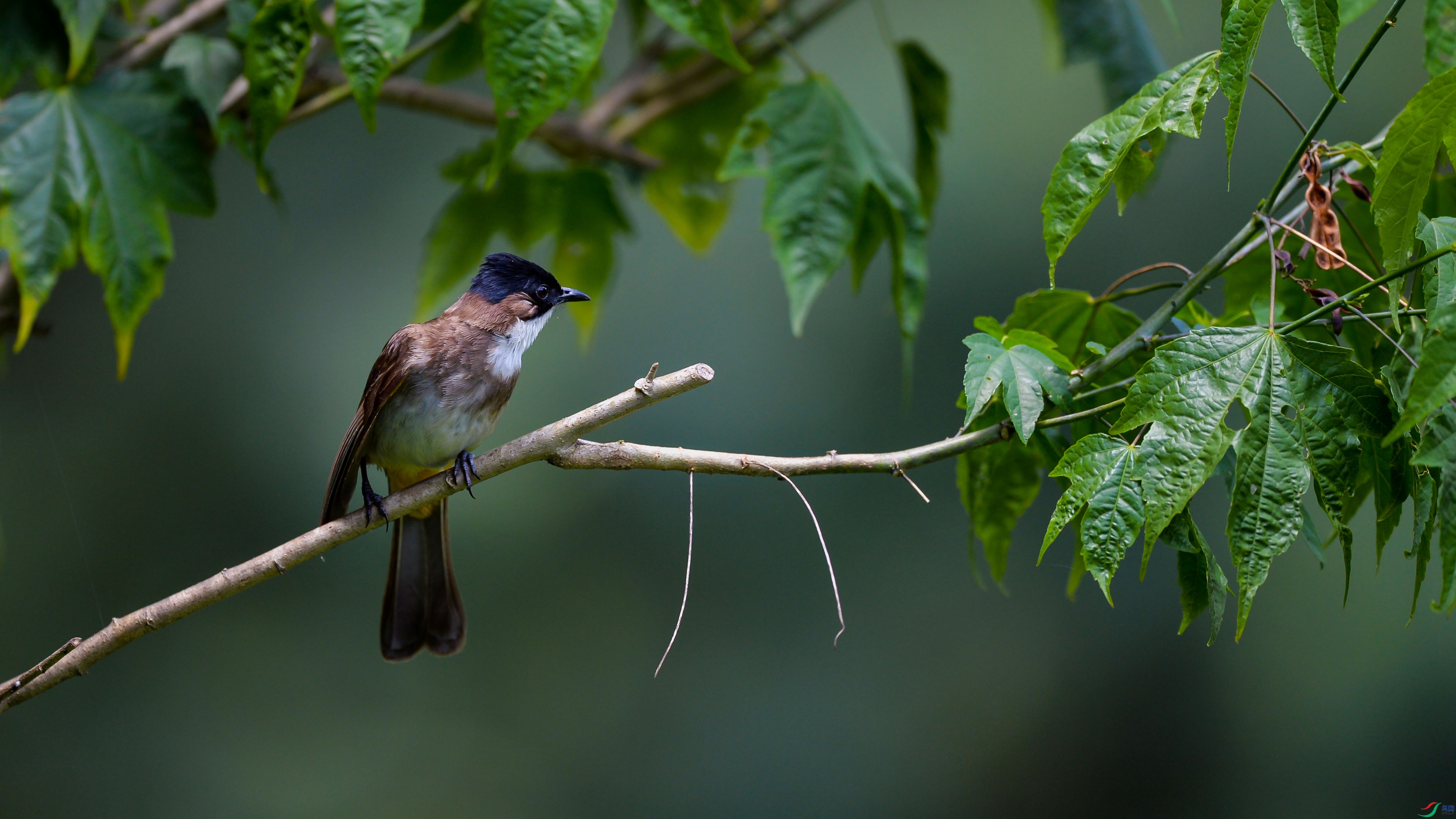 DSC_5615.jpg