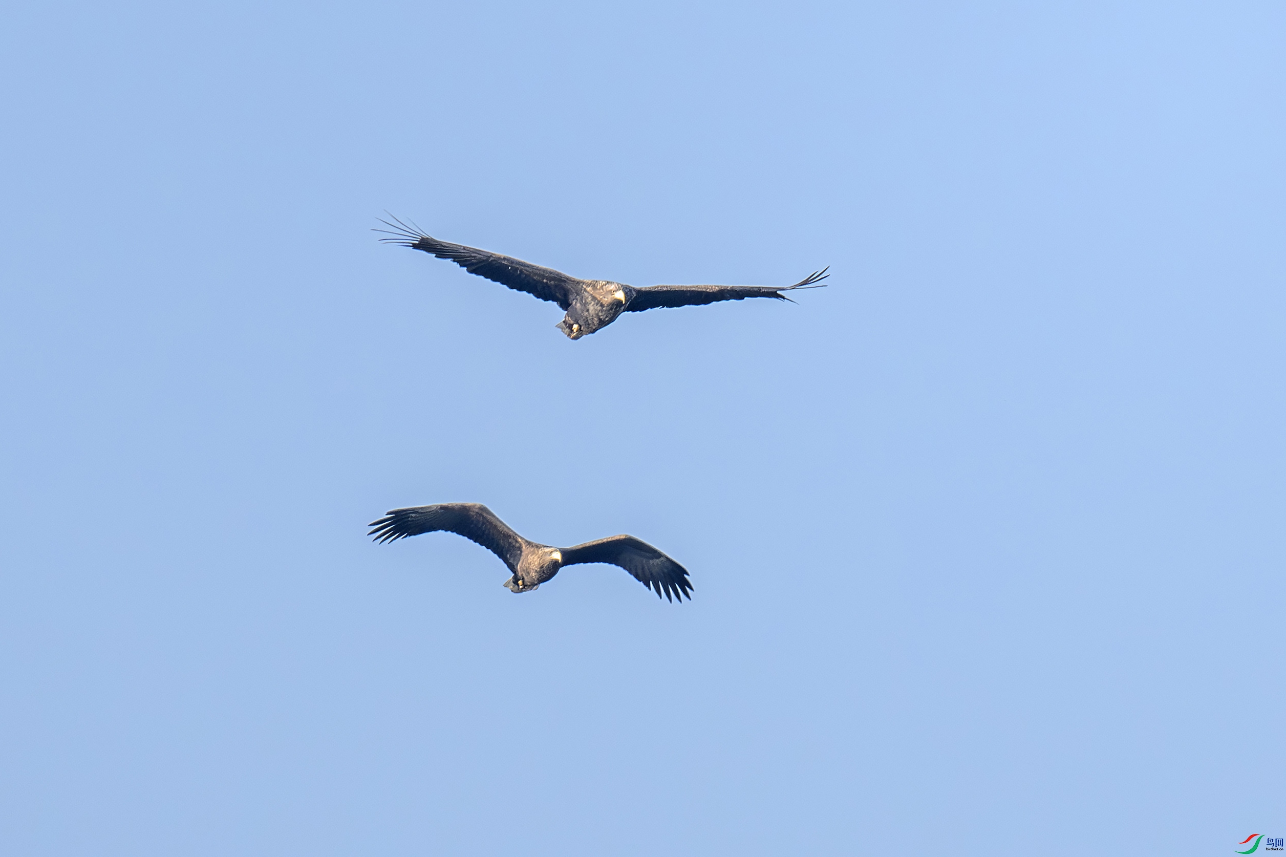 DSC_6459-����.jpg
