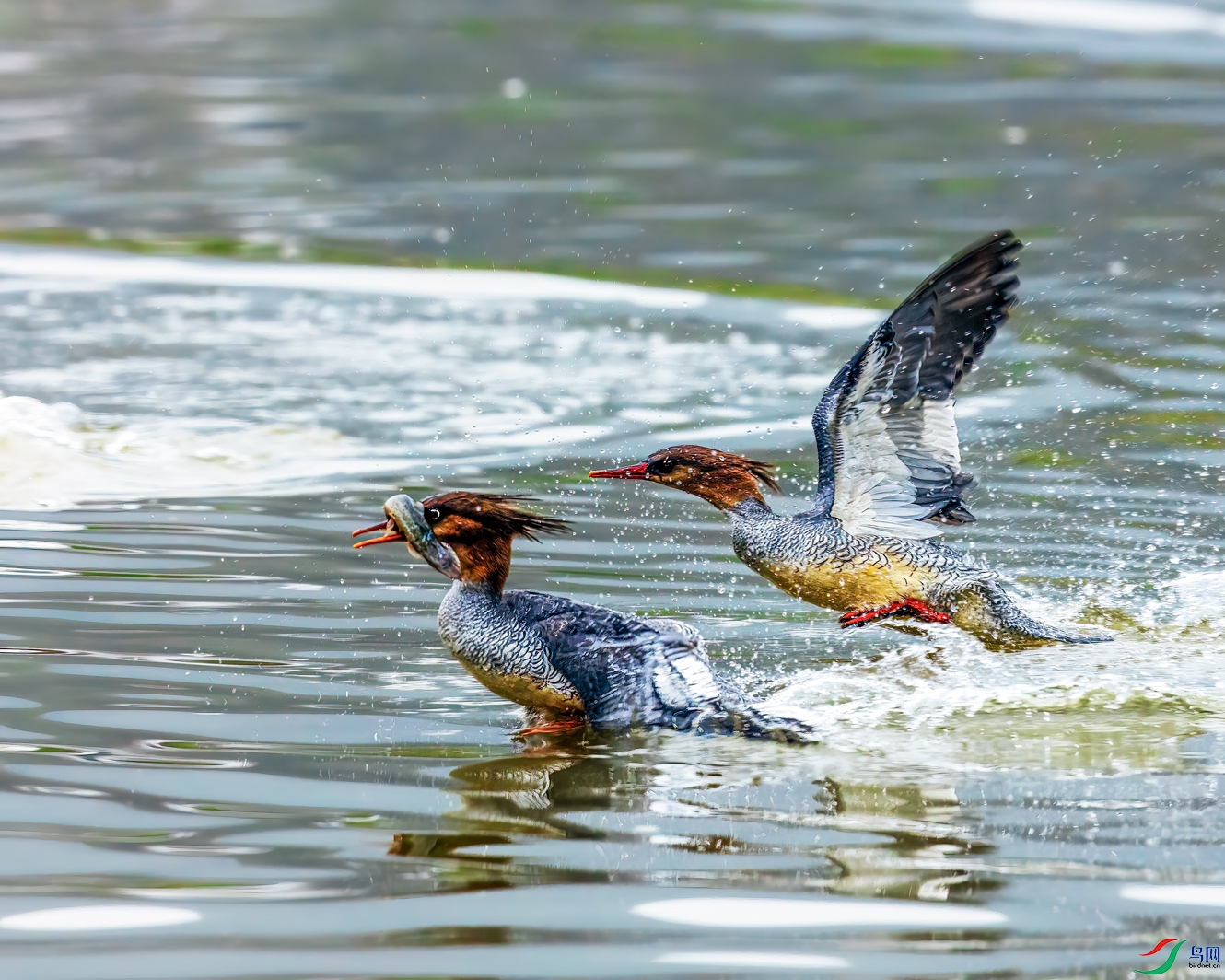 ׷��һһ�л���ɳѼ.jpg