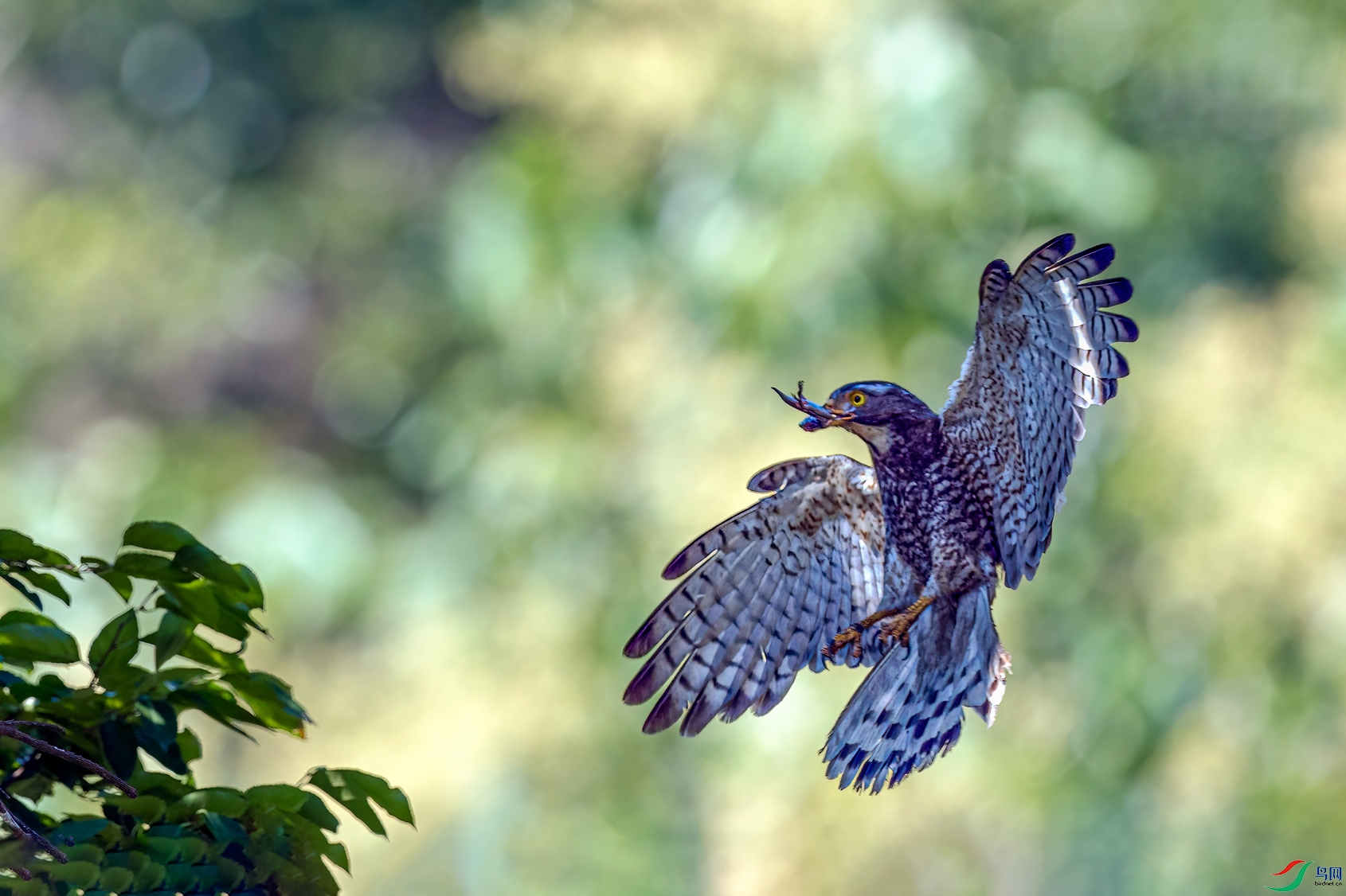 �ؼ�һһ������