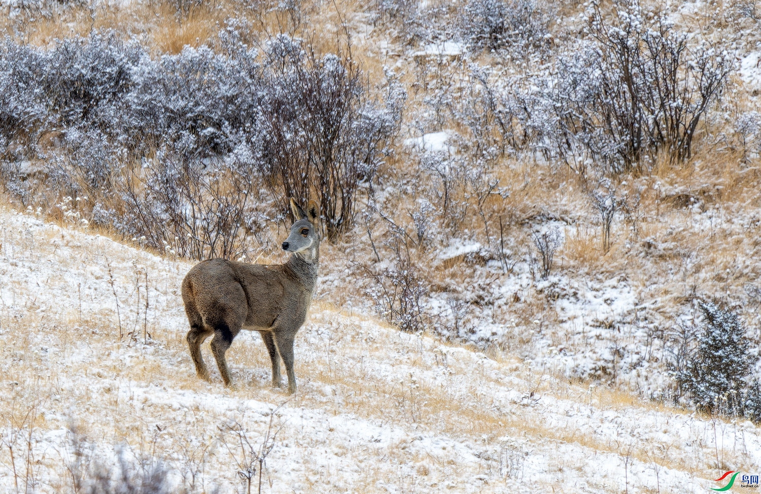 ���꣨���� (4)-01.jpg