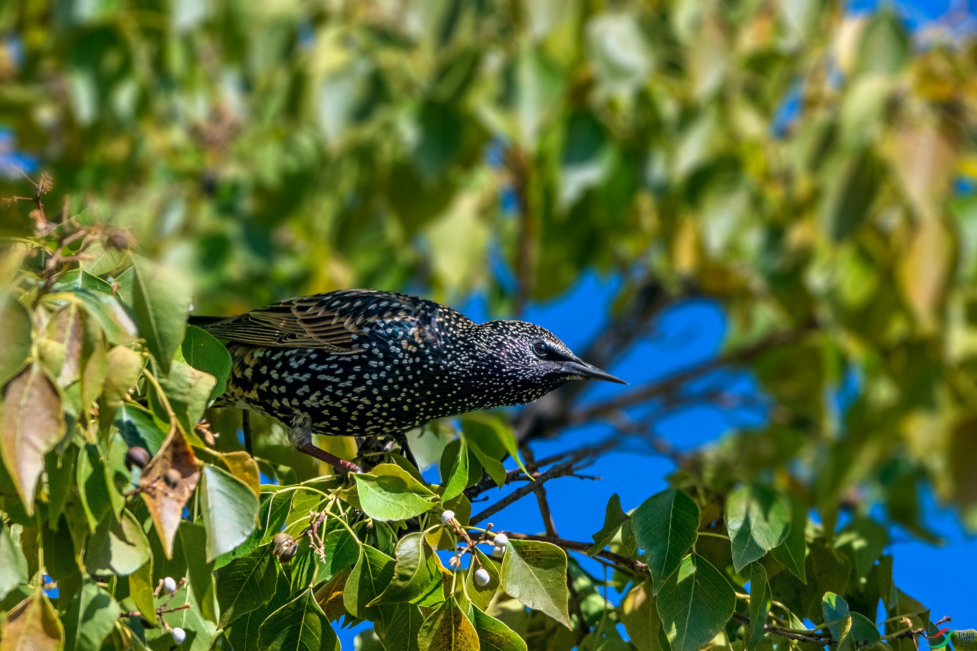 _AUU0806 �ϳ����(25.11.25).jpg