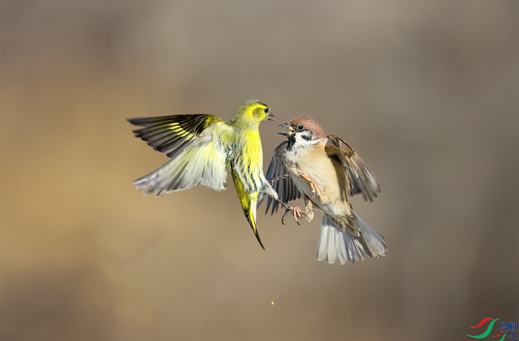 ˫ȸϷ�� ��ף����ʦ�ٻ� �������� �����Ŀ���.png