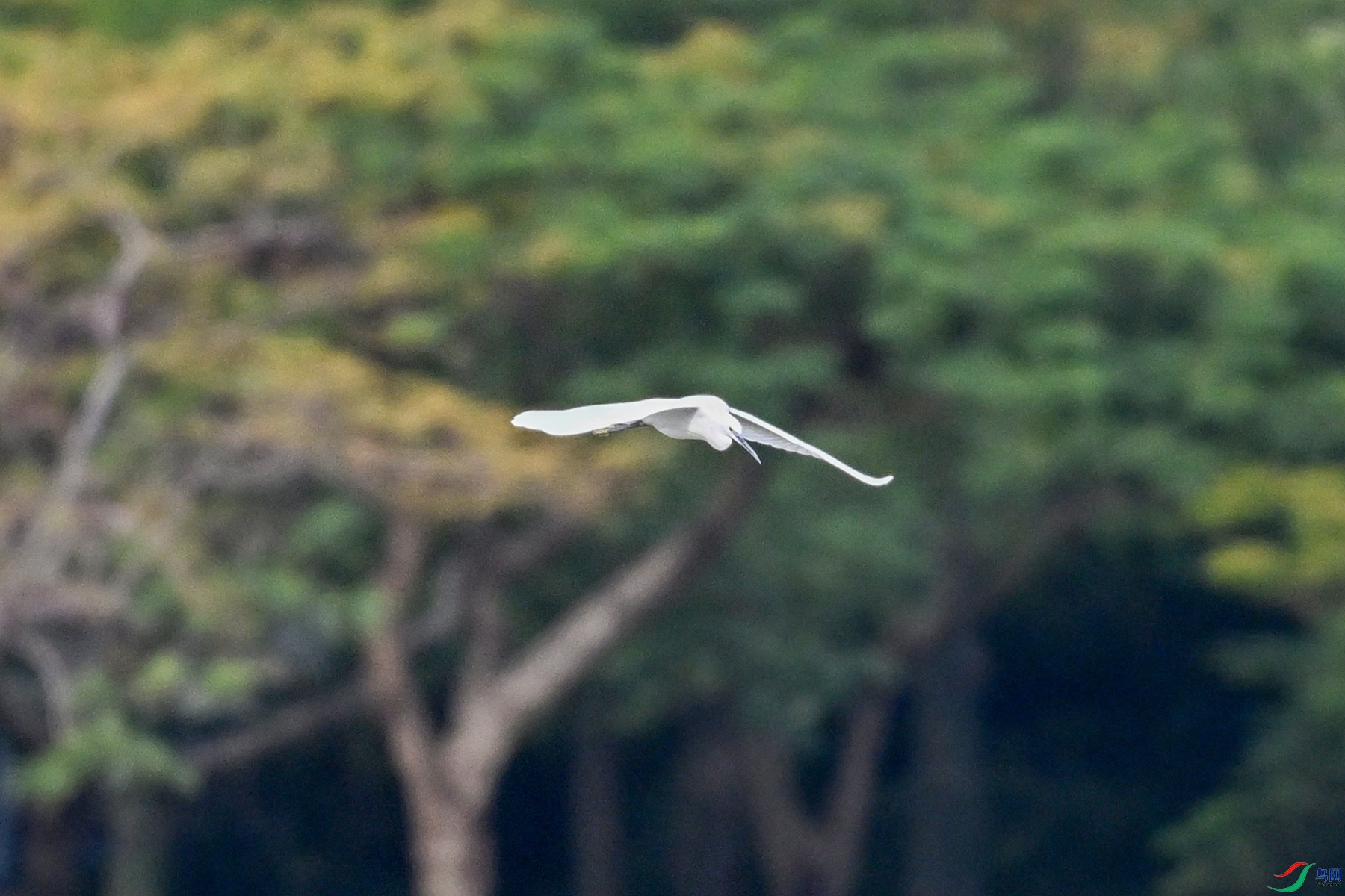 DSC_5805.JPG