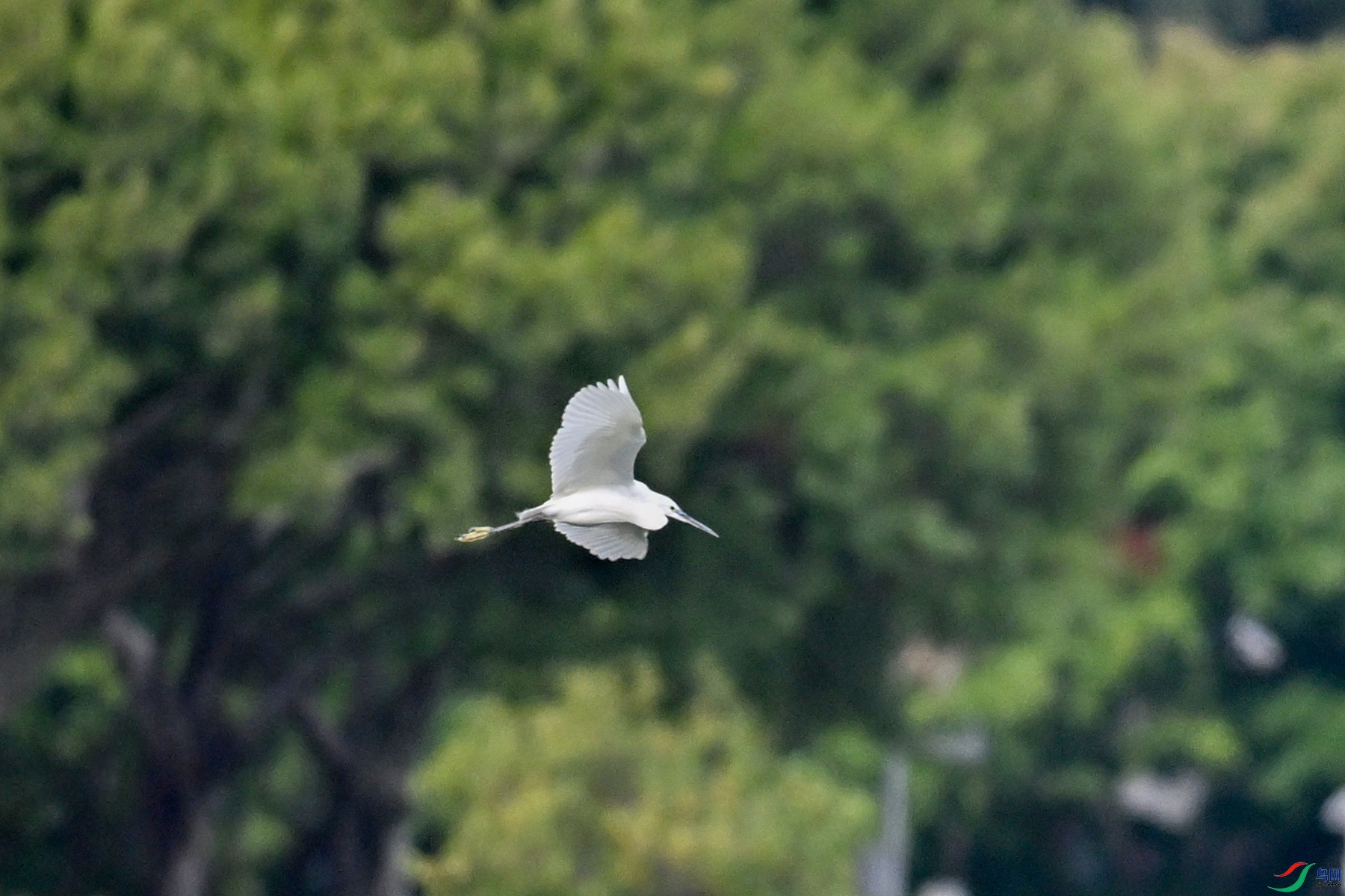 DSC_5807.JPG