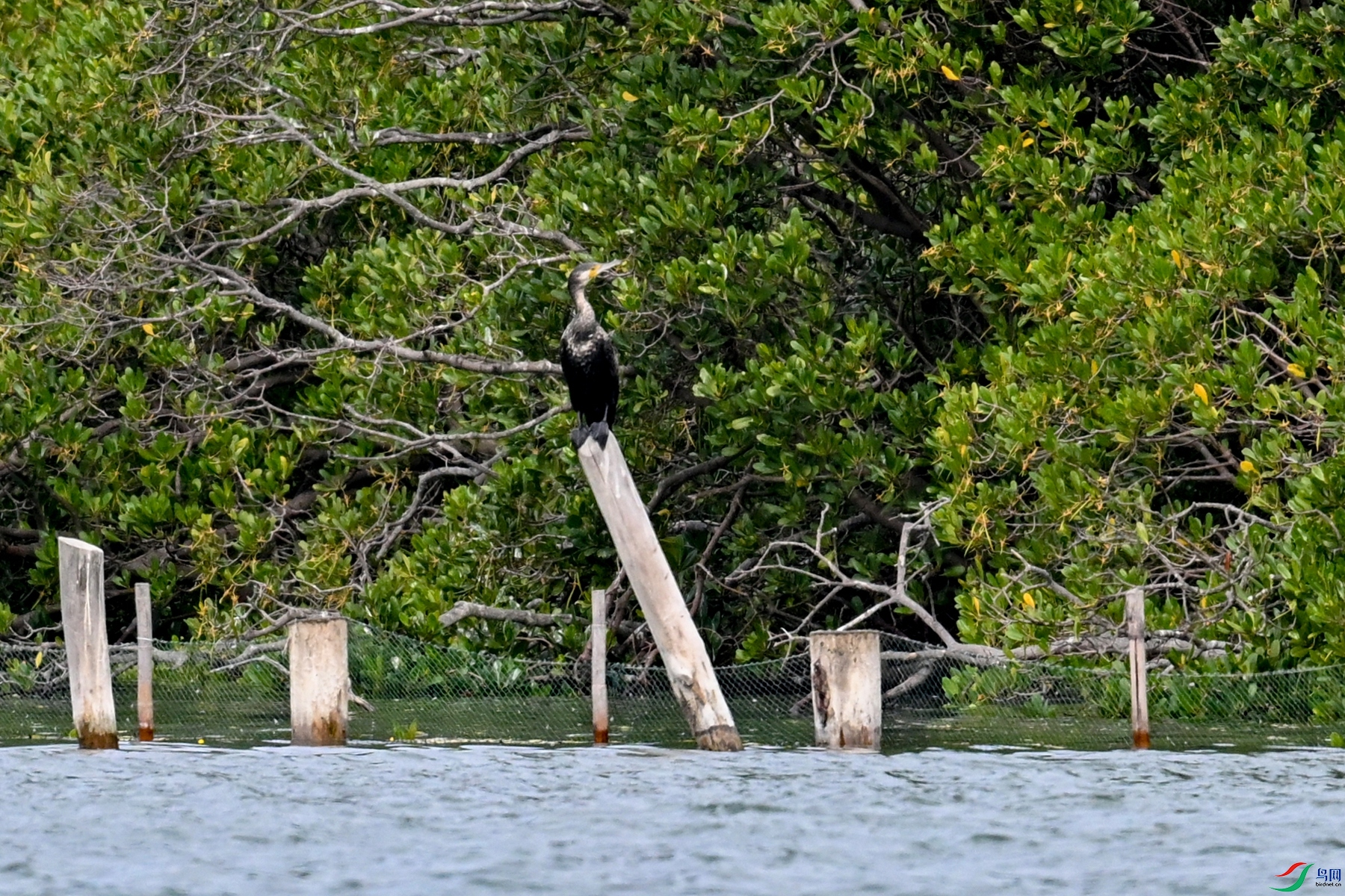 DSC_5878.JPG