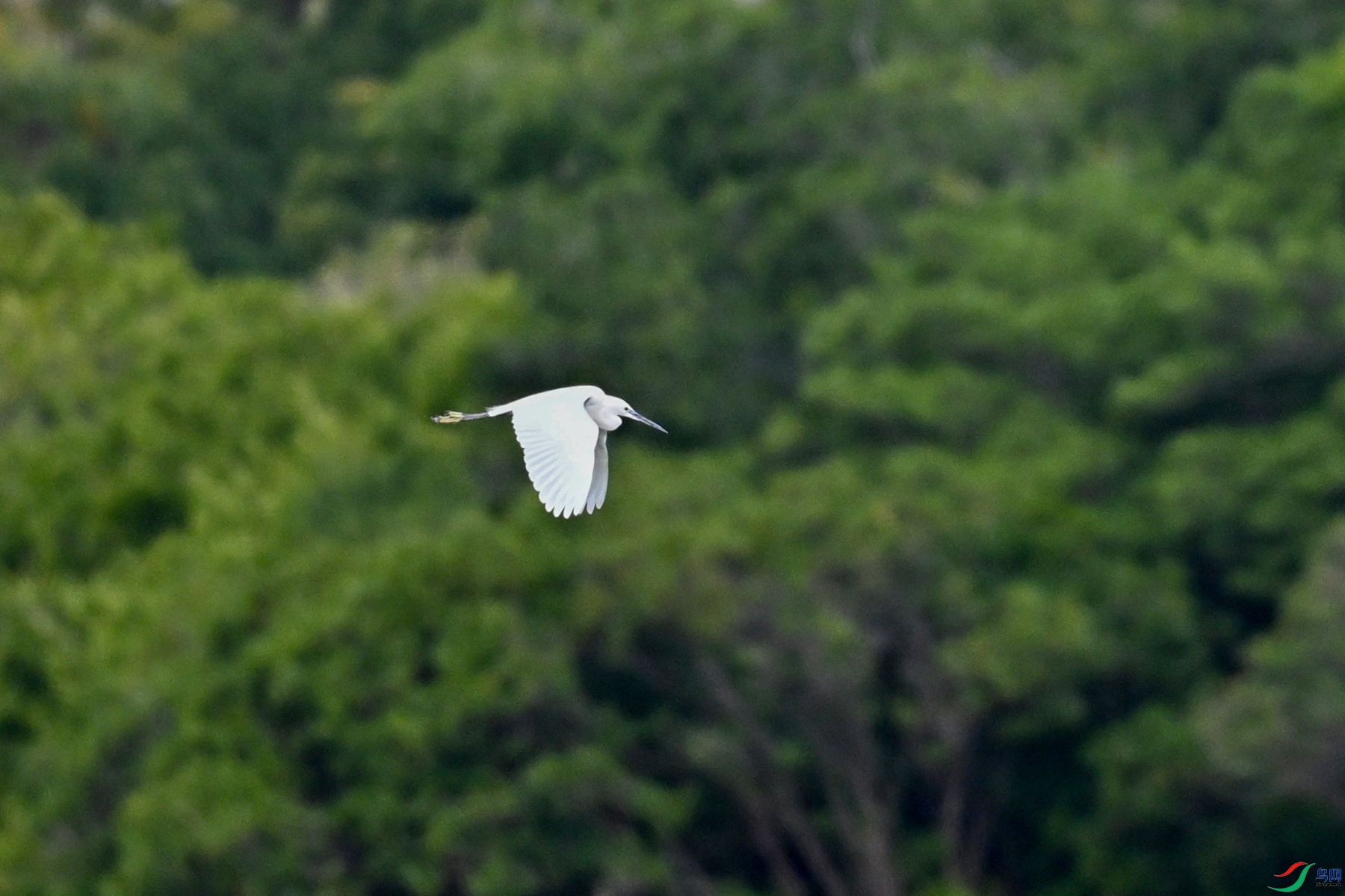 DSC_5813.JPG