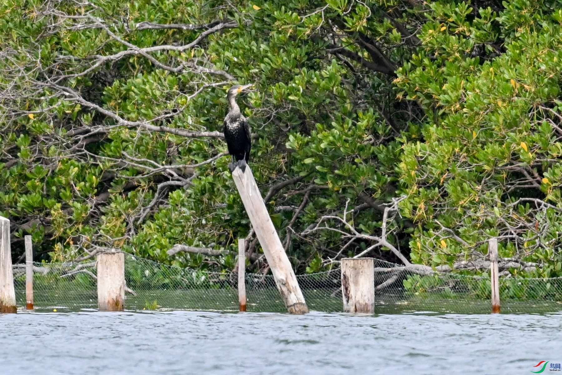 DSC_5879.JPG