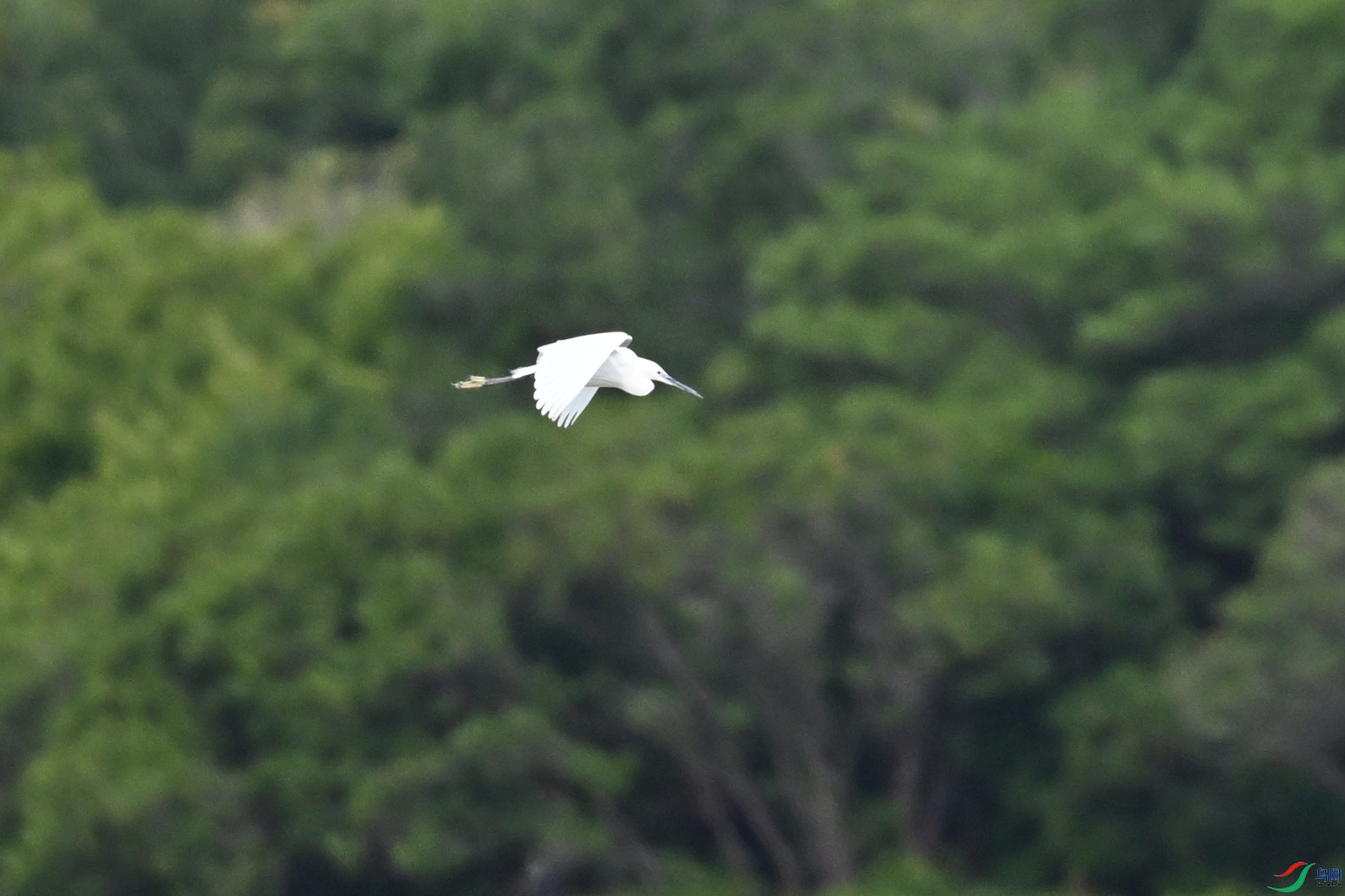 DSC_5814.JPG