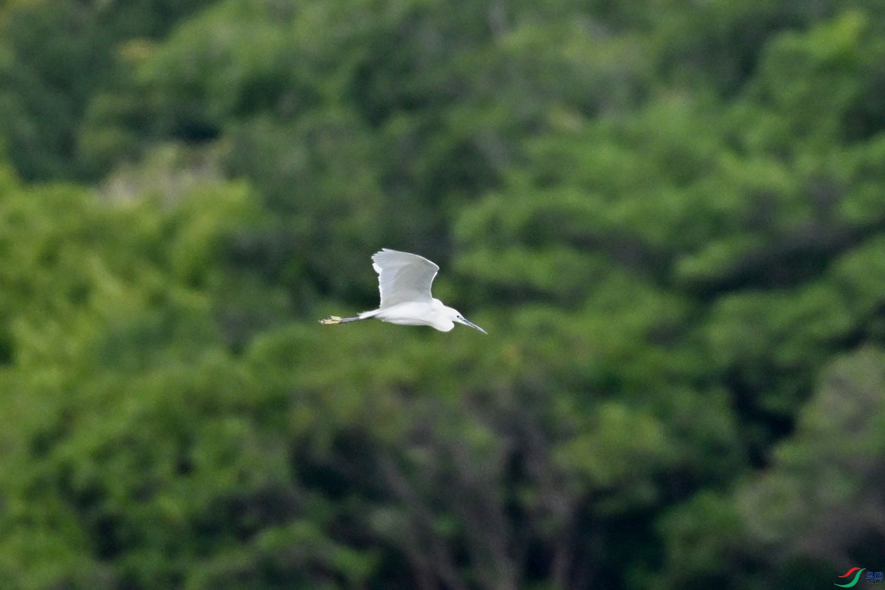DSC_5815.JPG