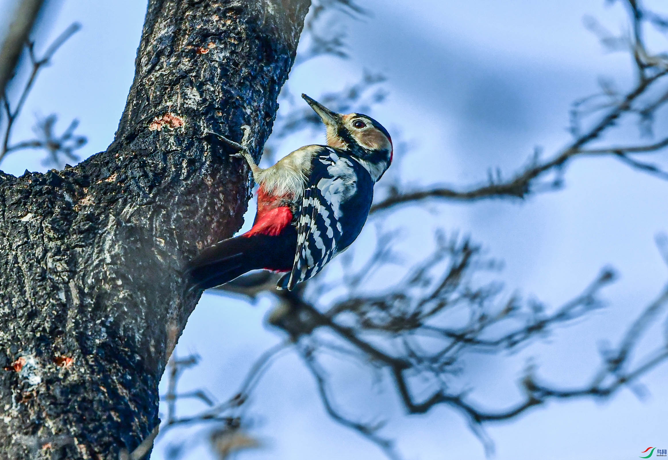 DSC_9522   ��.jpg