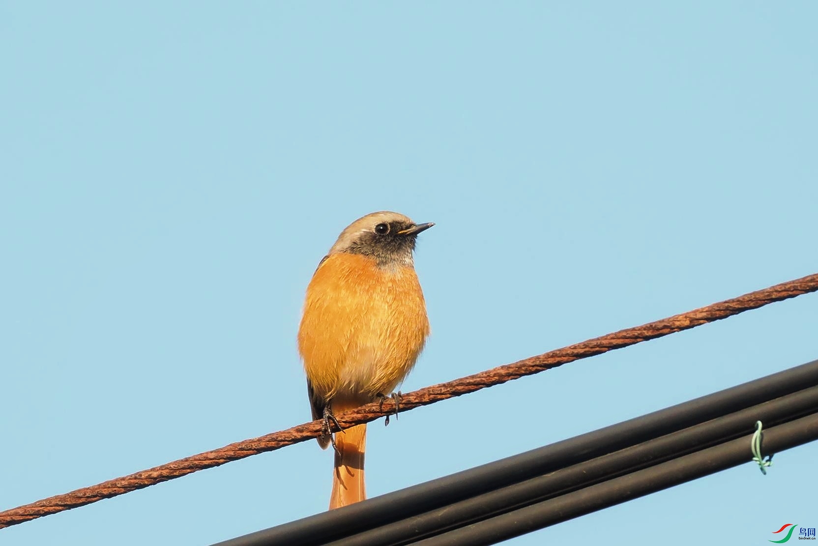 PB210080(1����).jpg