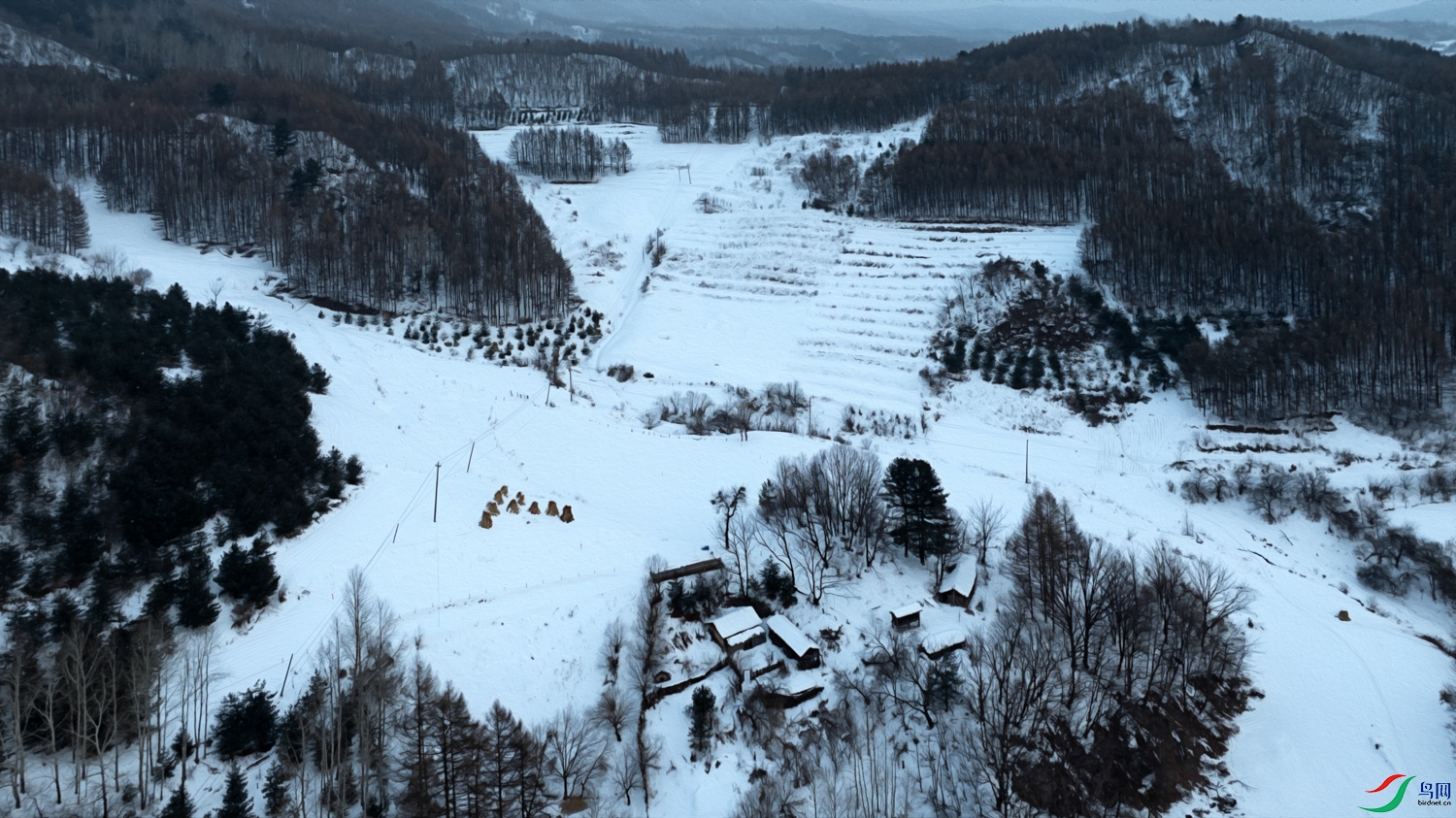DJI_20240106075052_0068_D ����.jpg