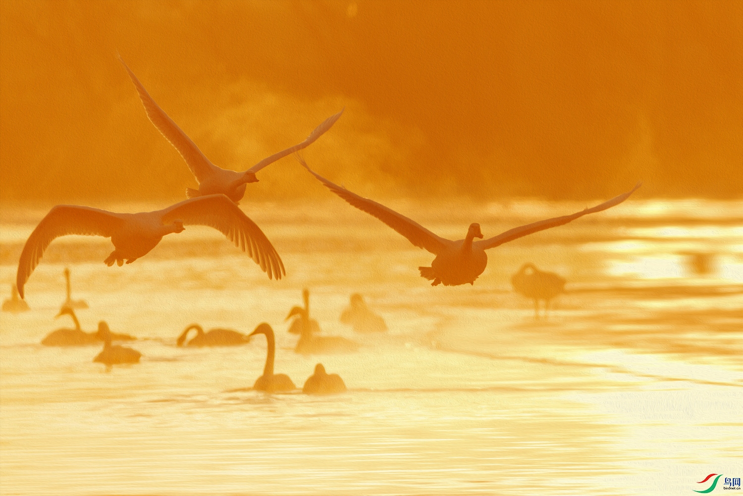 3Z6A0788 ����.jpg