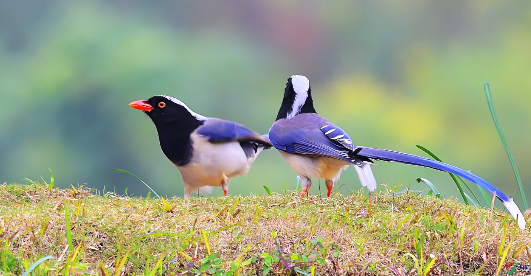 {3FB5F857-A37D-4EBF-8064-99D2A45979DD} ����.jpg