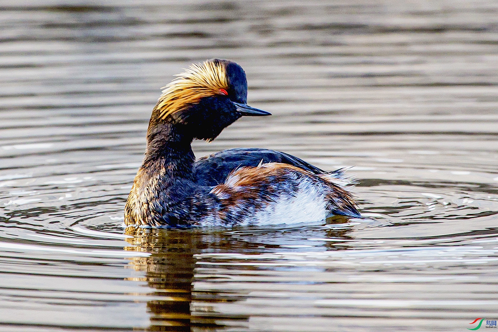 _MG_7402 ���� 2.jpg