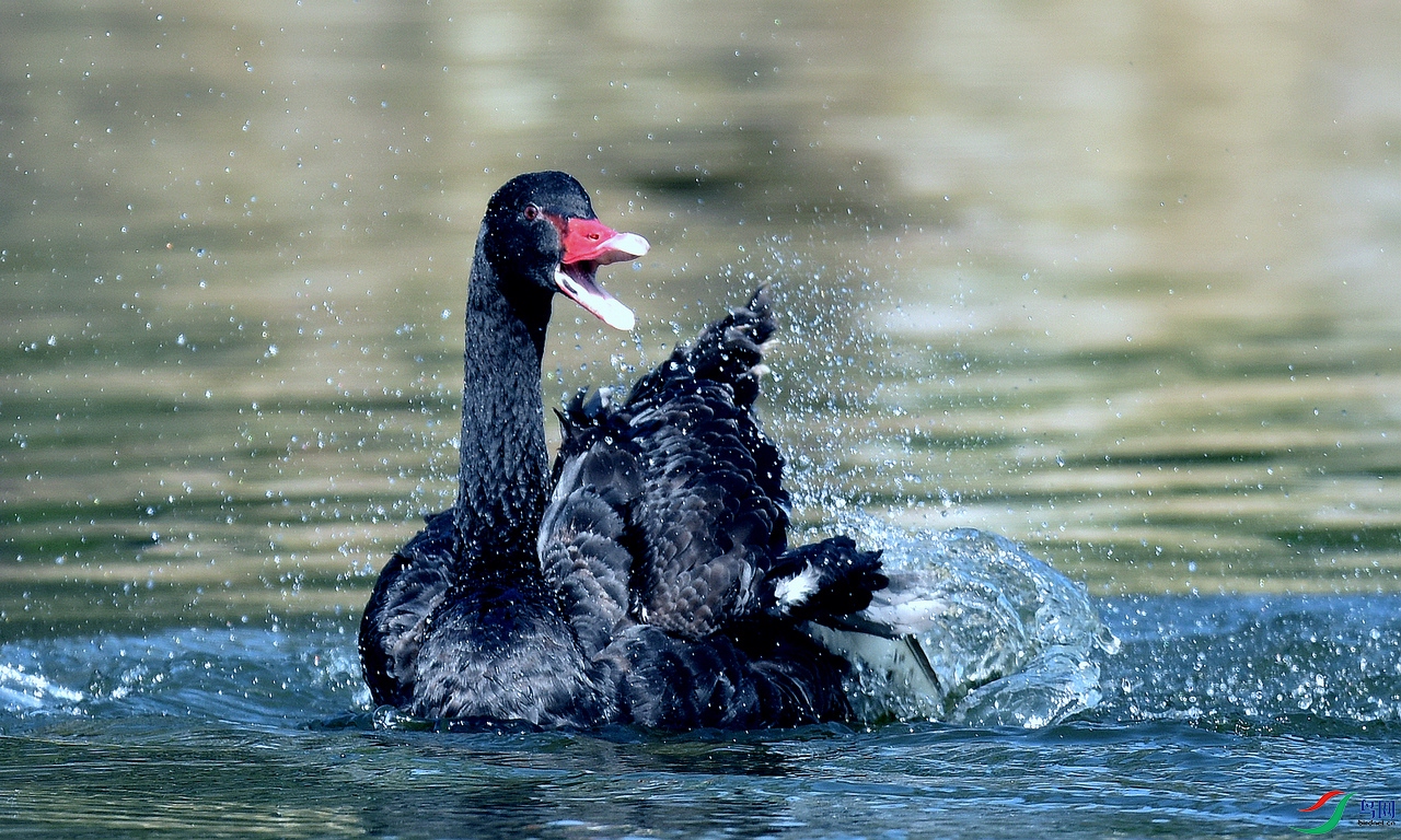 DSC_1783.jpg