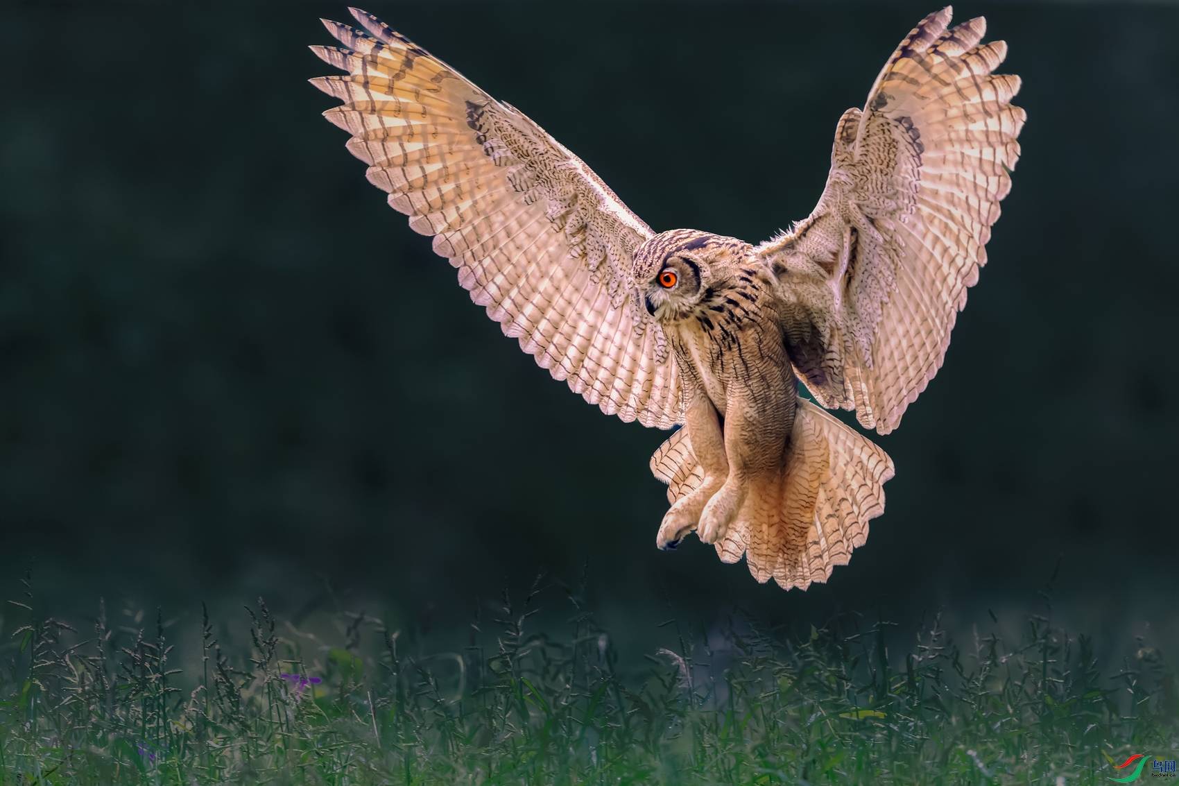 ���^----�����^Ӱ