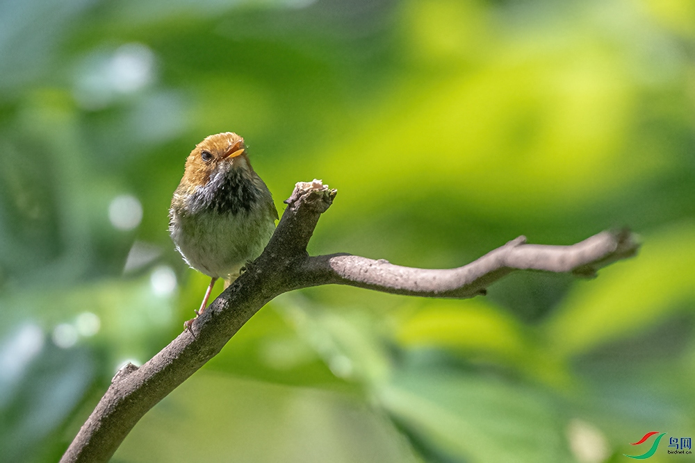 DSC_1381.jpg