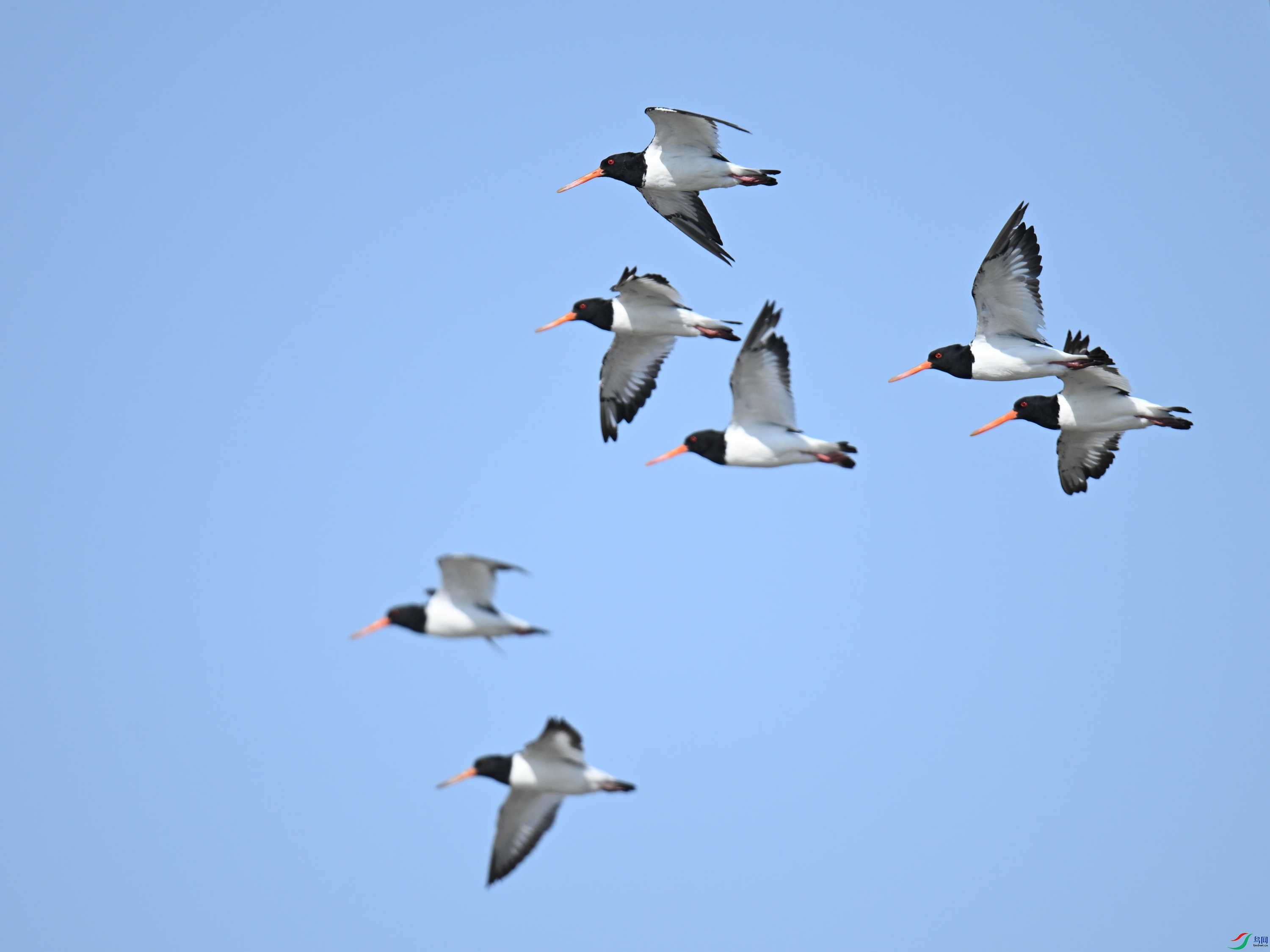 ���� (20).jpg