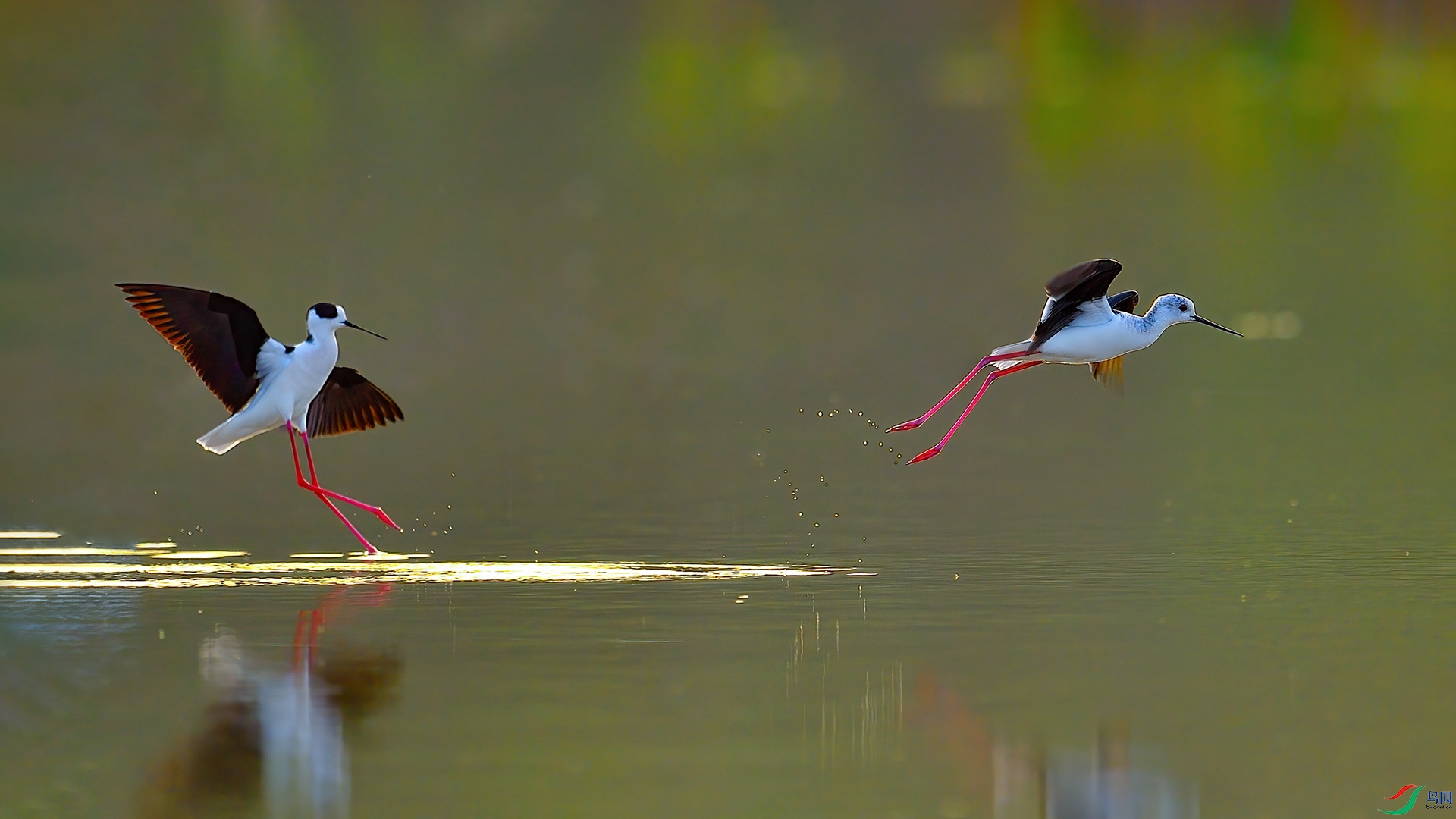 XIA_2550 ����.jpg