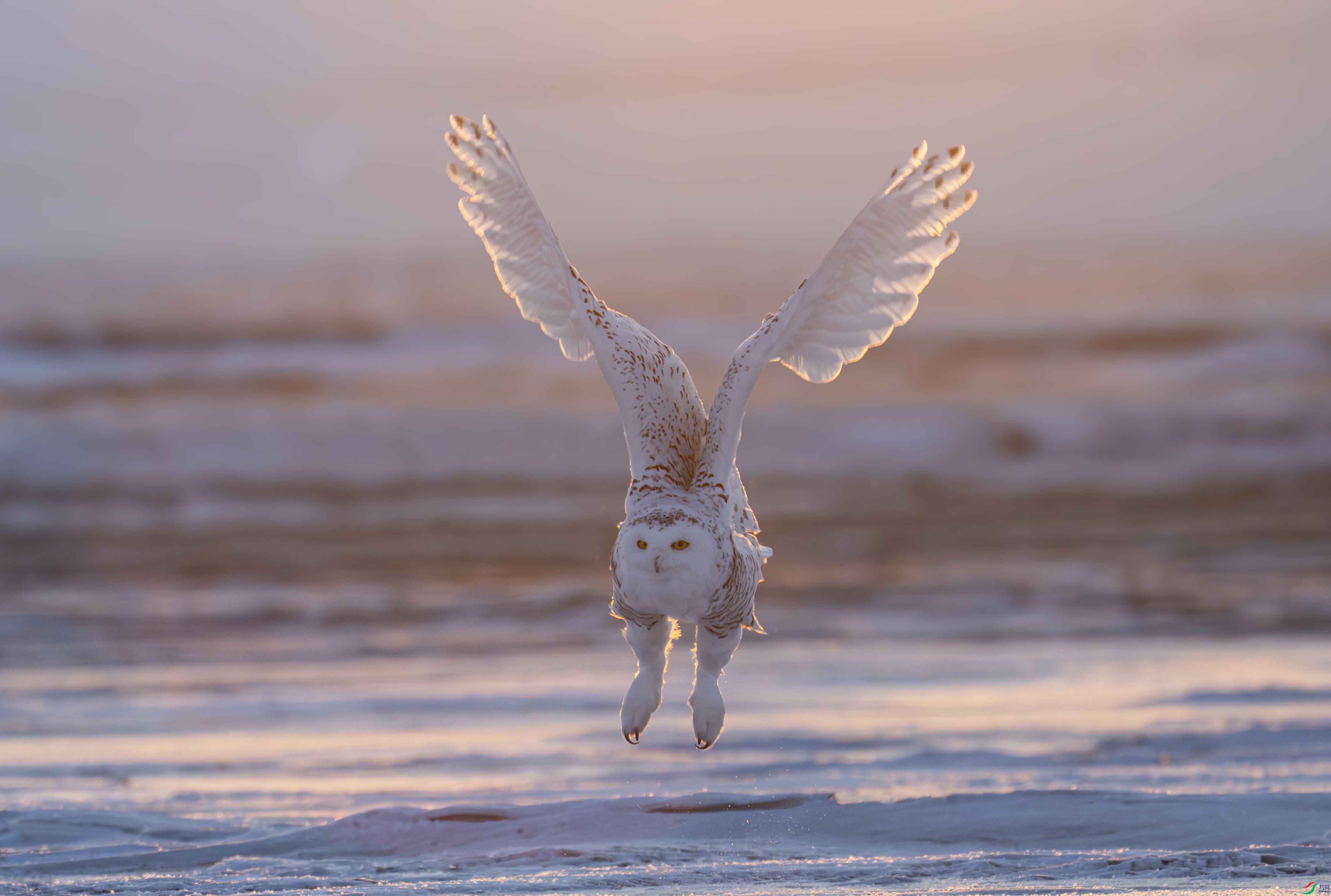 1DS_2583 ����.jpg