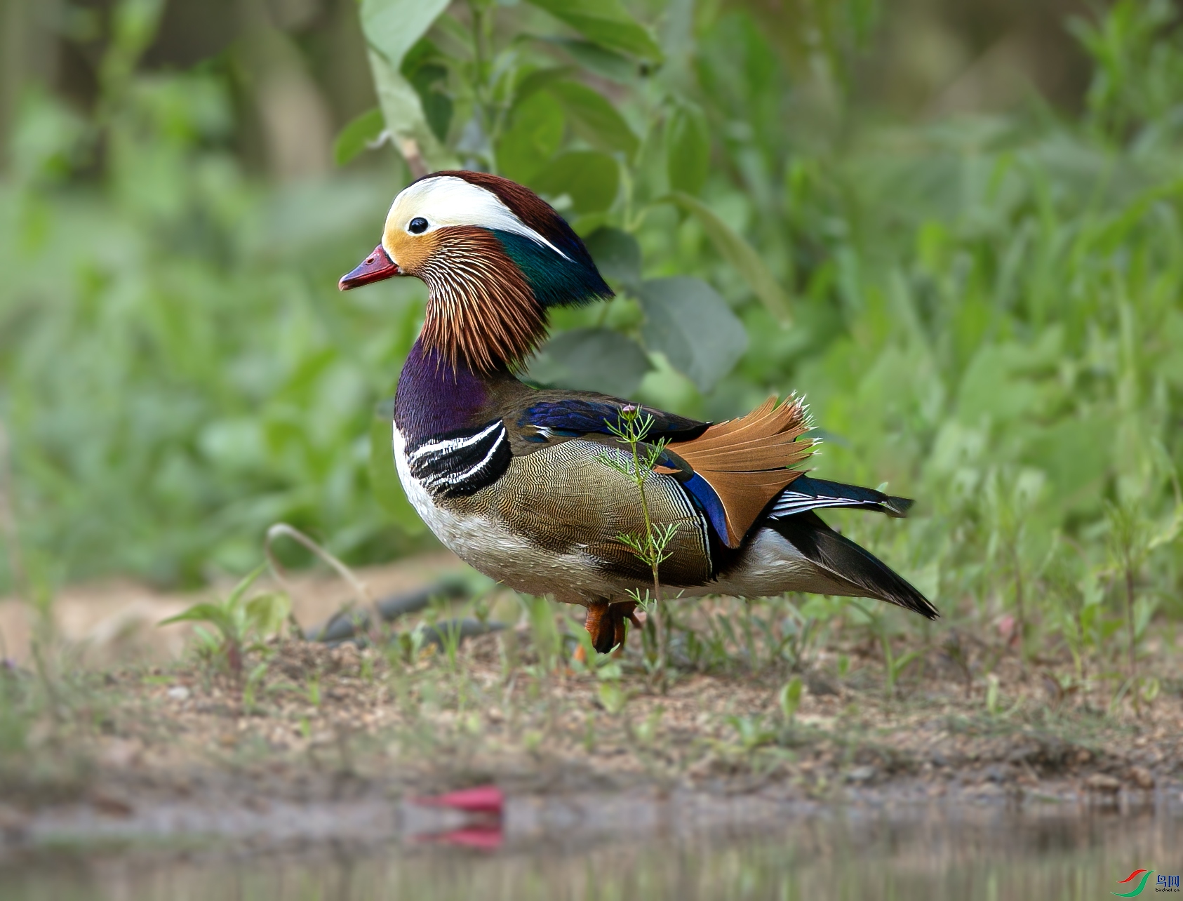 673A3950 ����.jpg