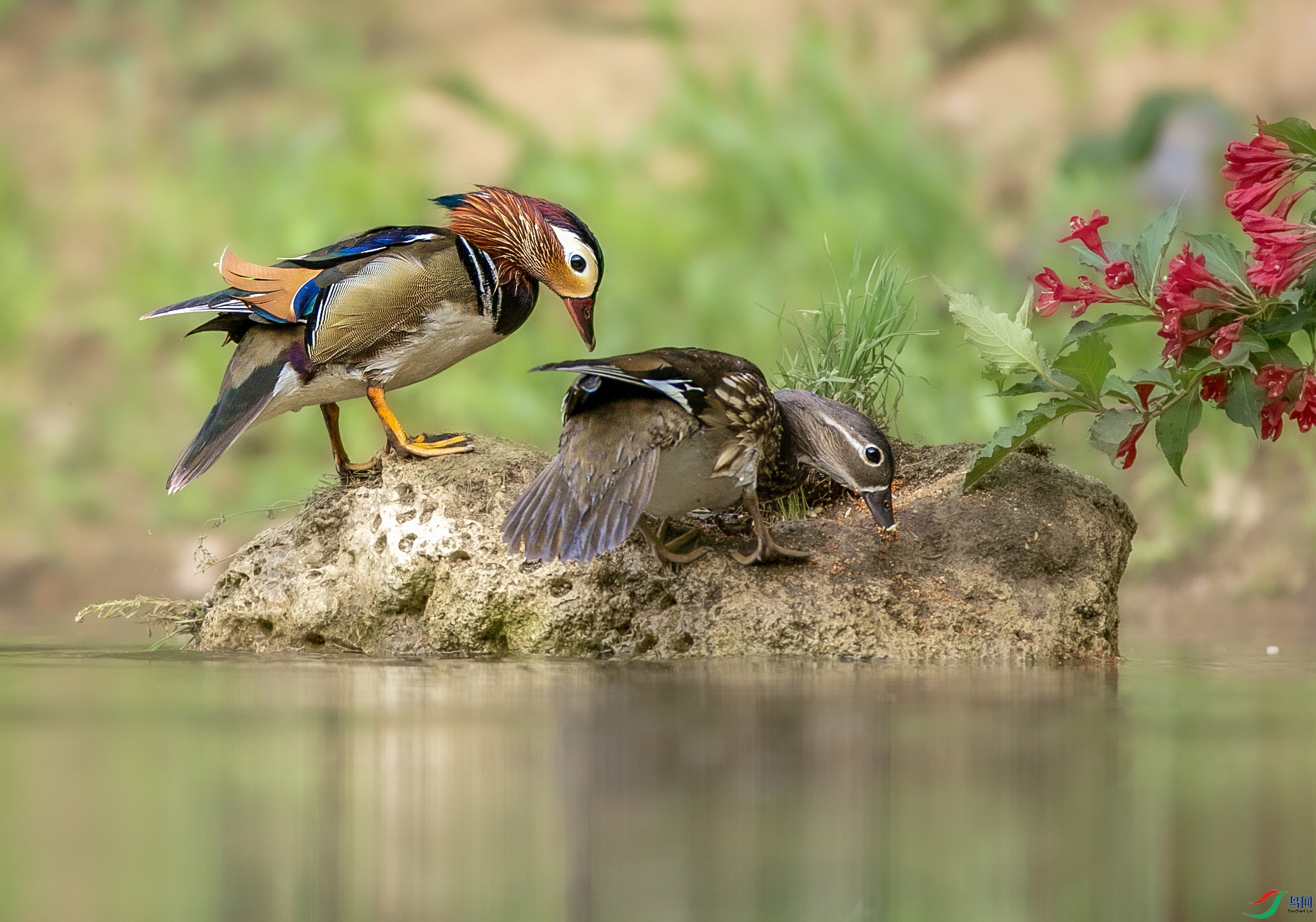 673A4060 ����.jpg