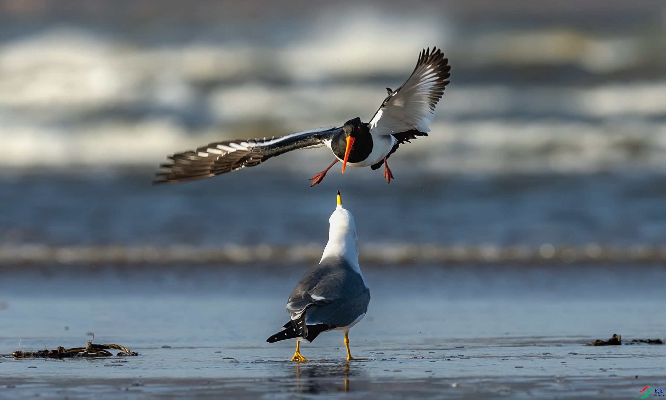 ��βŸ������