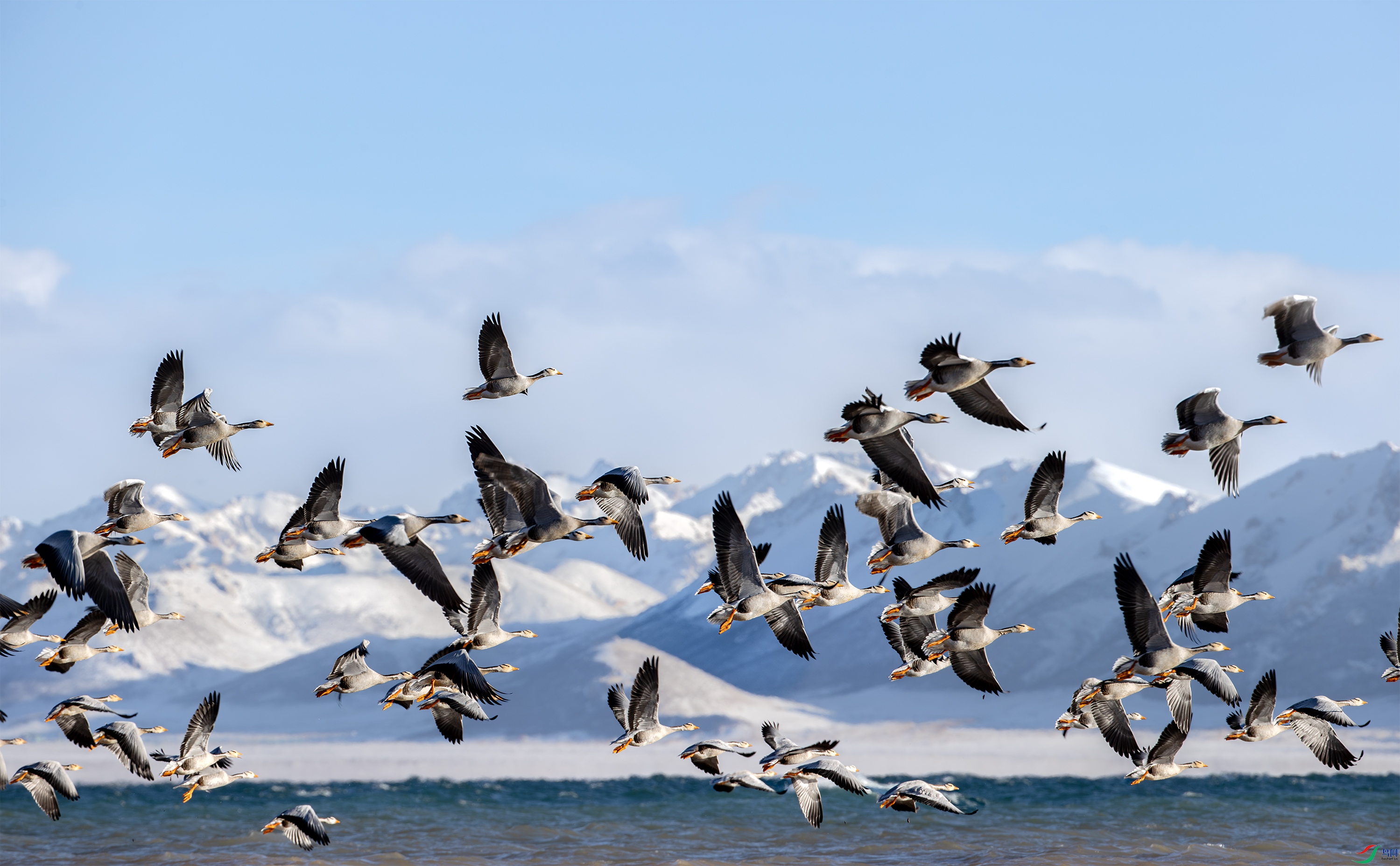 A15I8340 ����.jpg