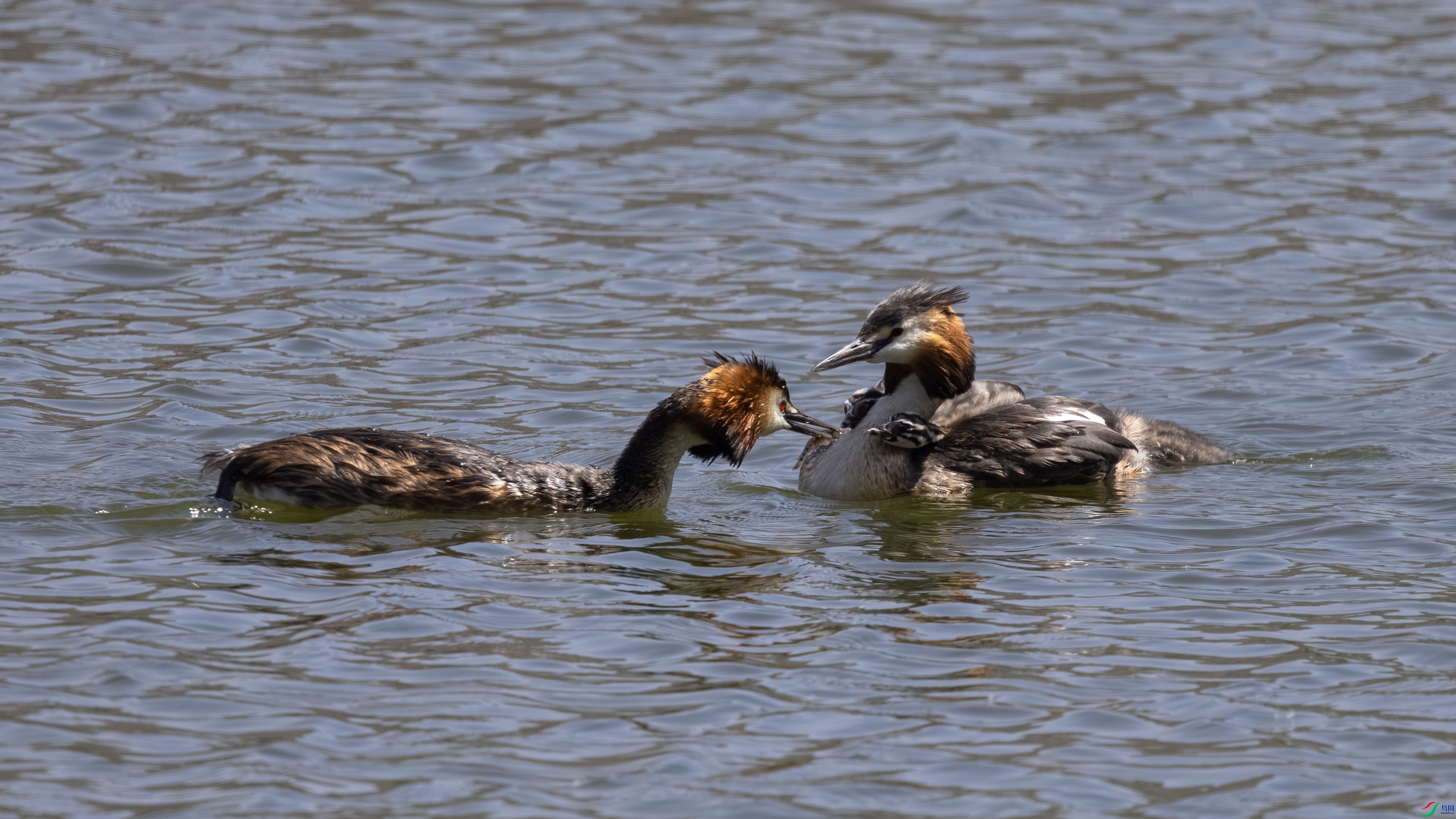 7X5A7371 ����.jpg