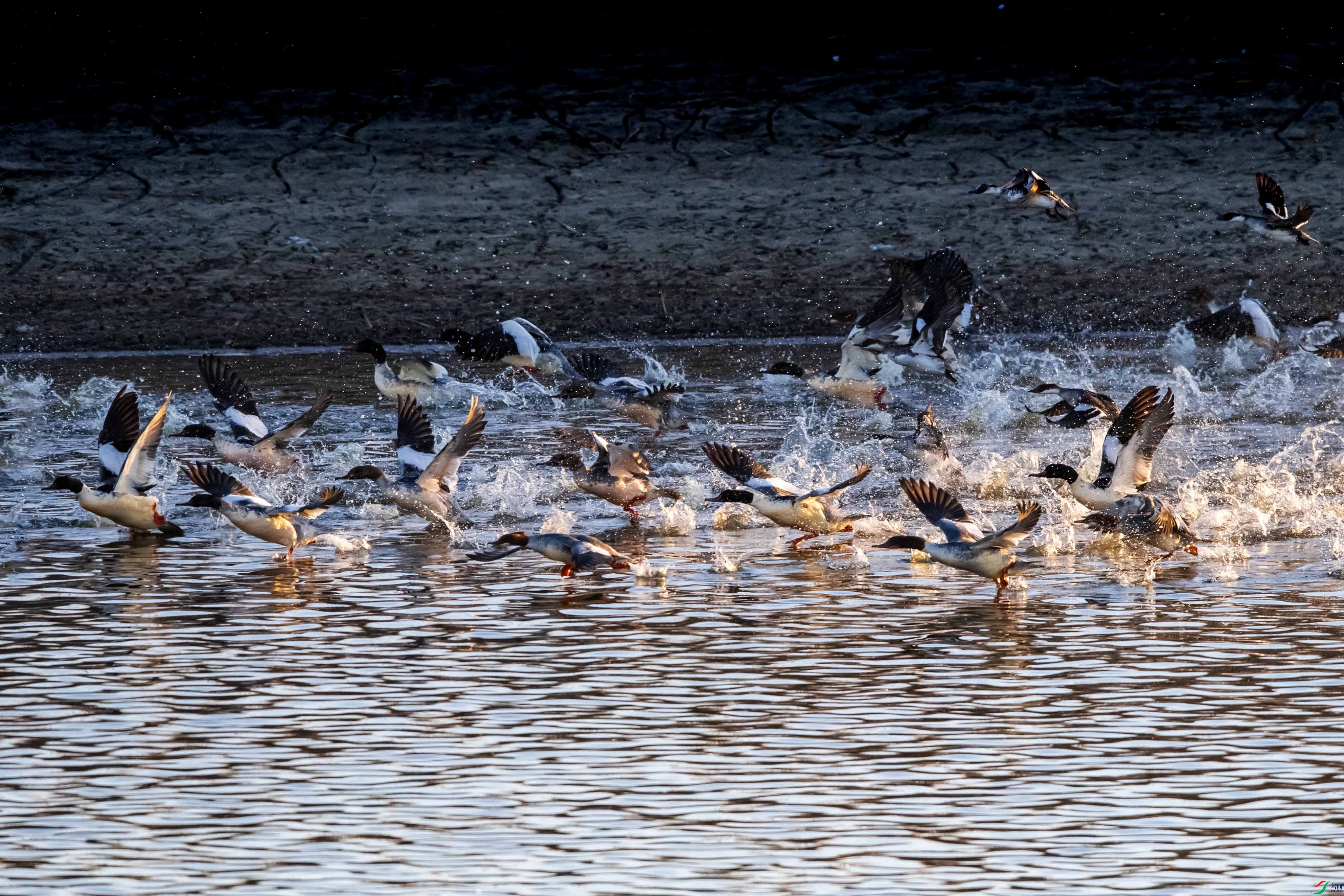 _LYF2227 ����.jpg