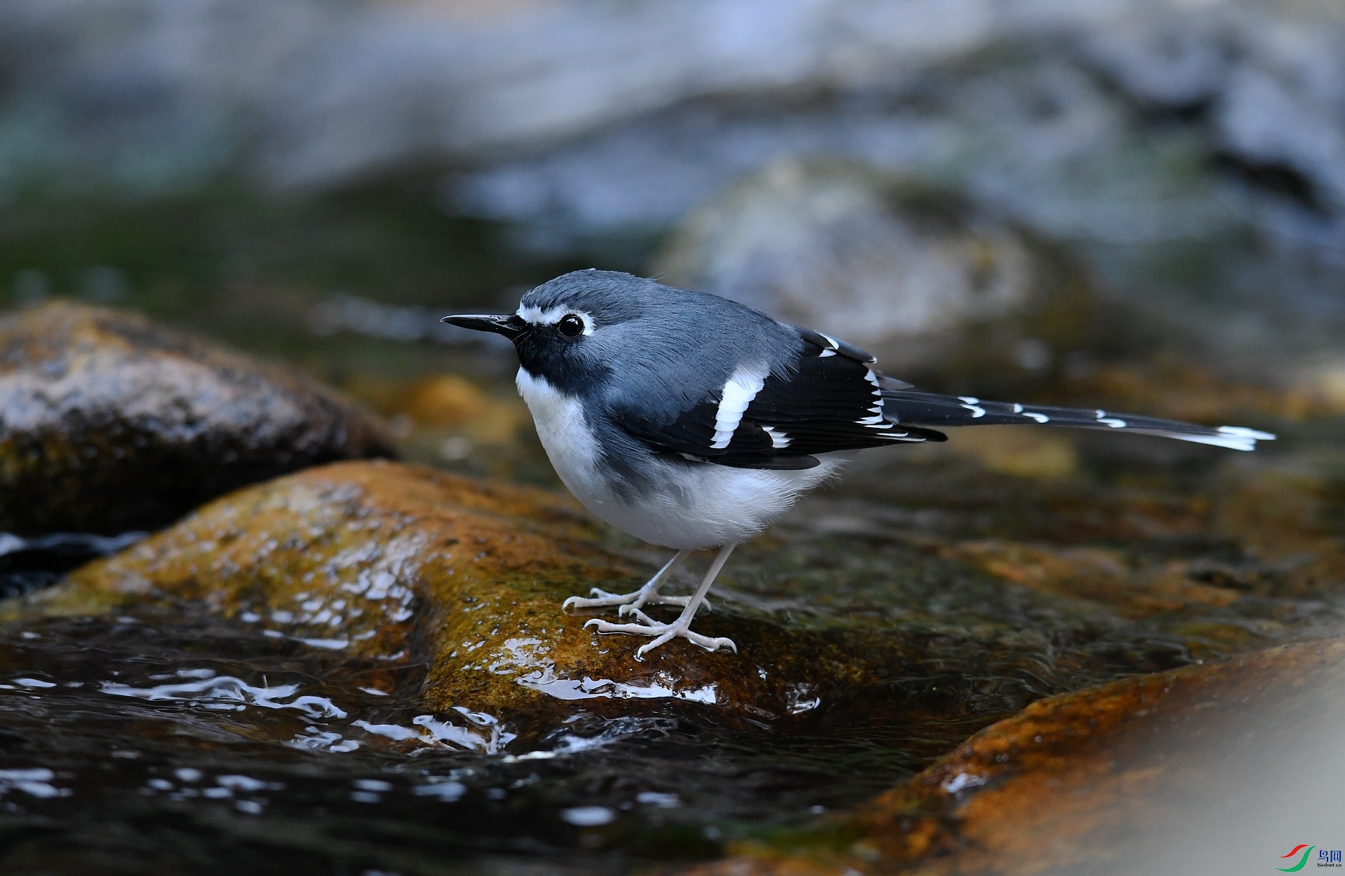 DSC_6635.jpg