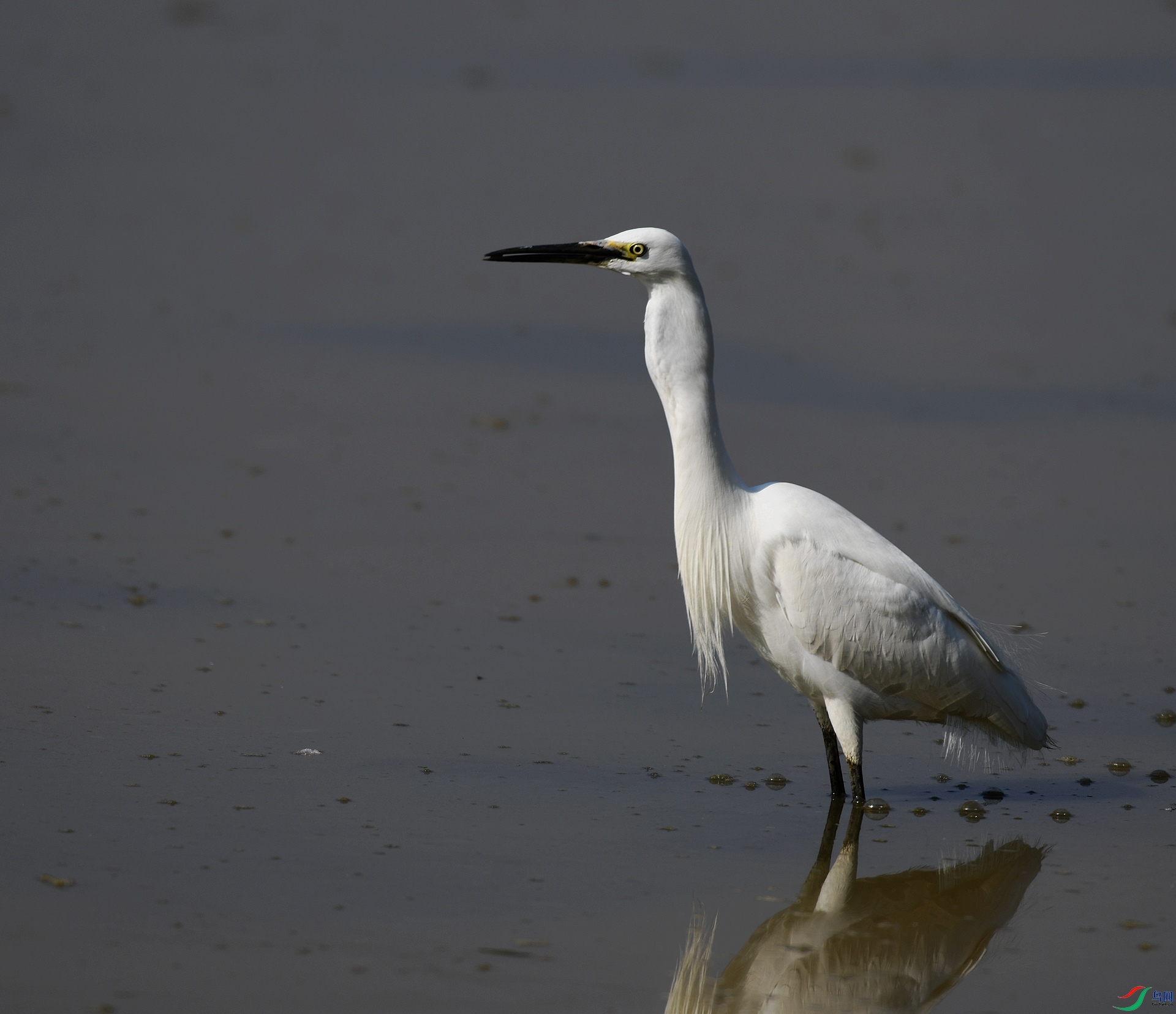 DSC_6535.jpg