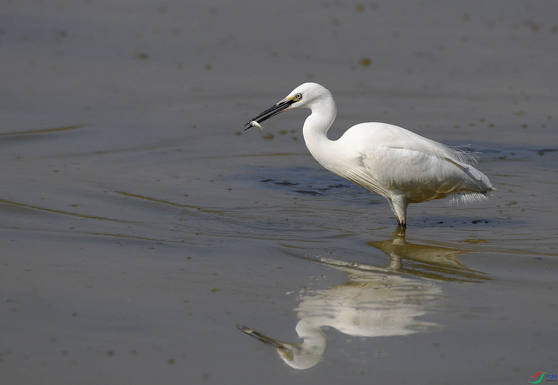 DSC_6576.jpg