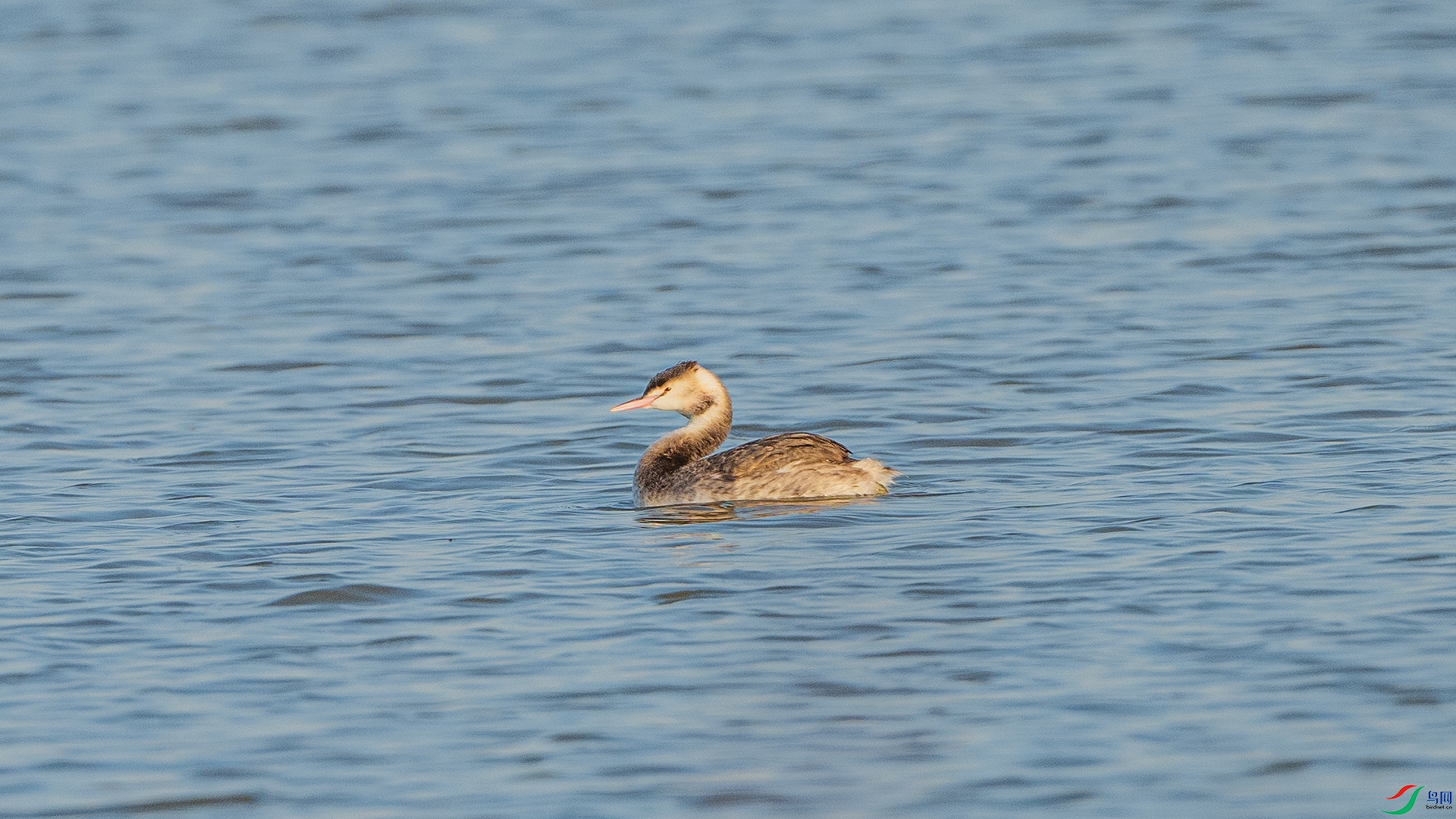 DSC_0600 ����.jpg