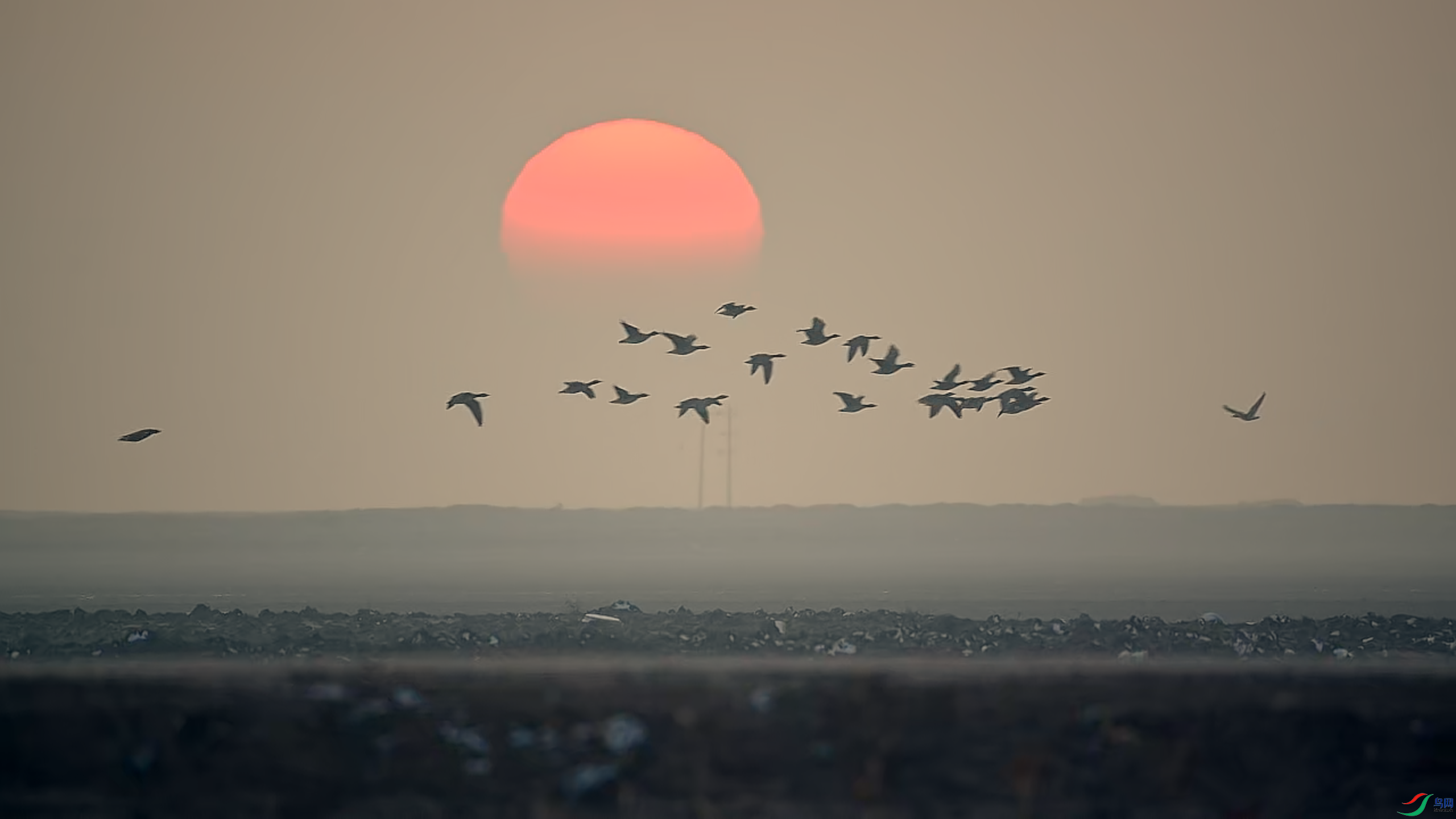 12��16�� (57).png