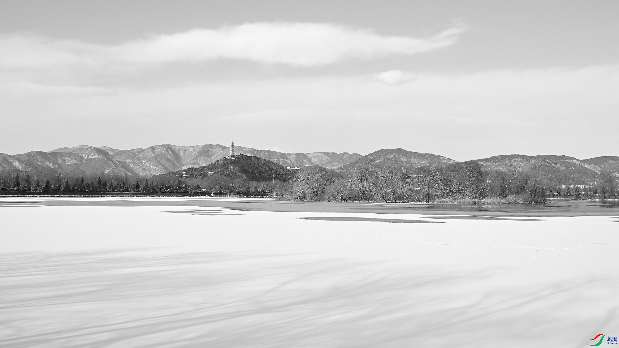 DSC_3645.JPG